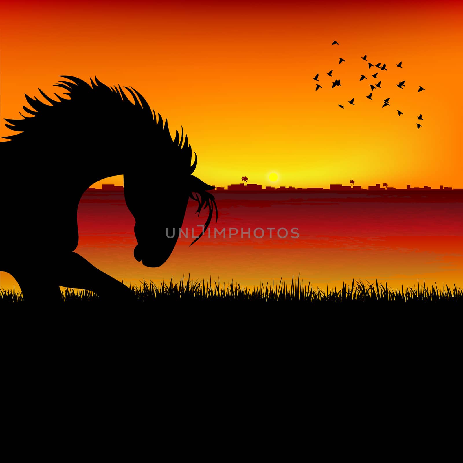 silhouette view of a horse, sunset background by abhishek4383
