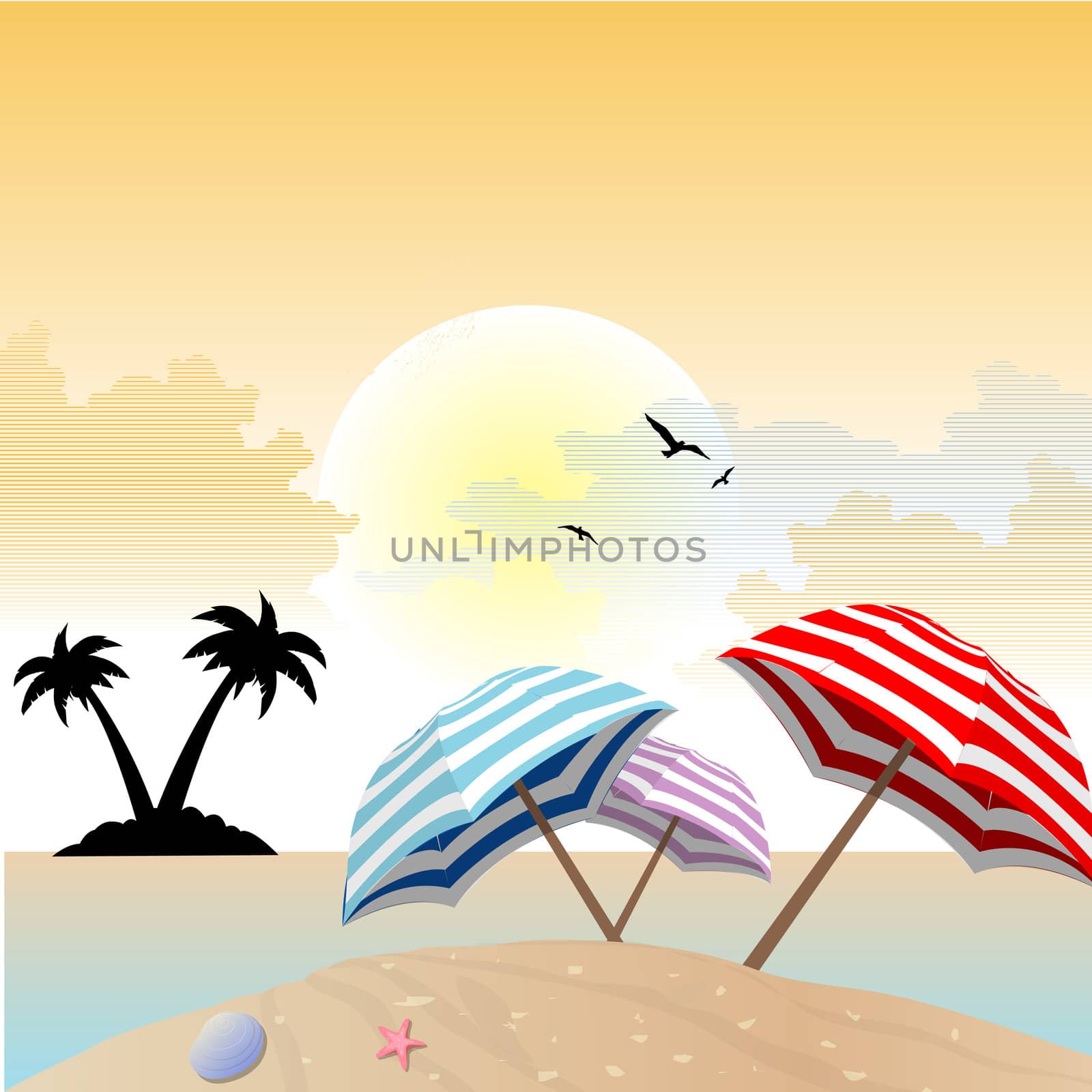 landscape view of beach with shells,umbrella