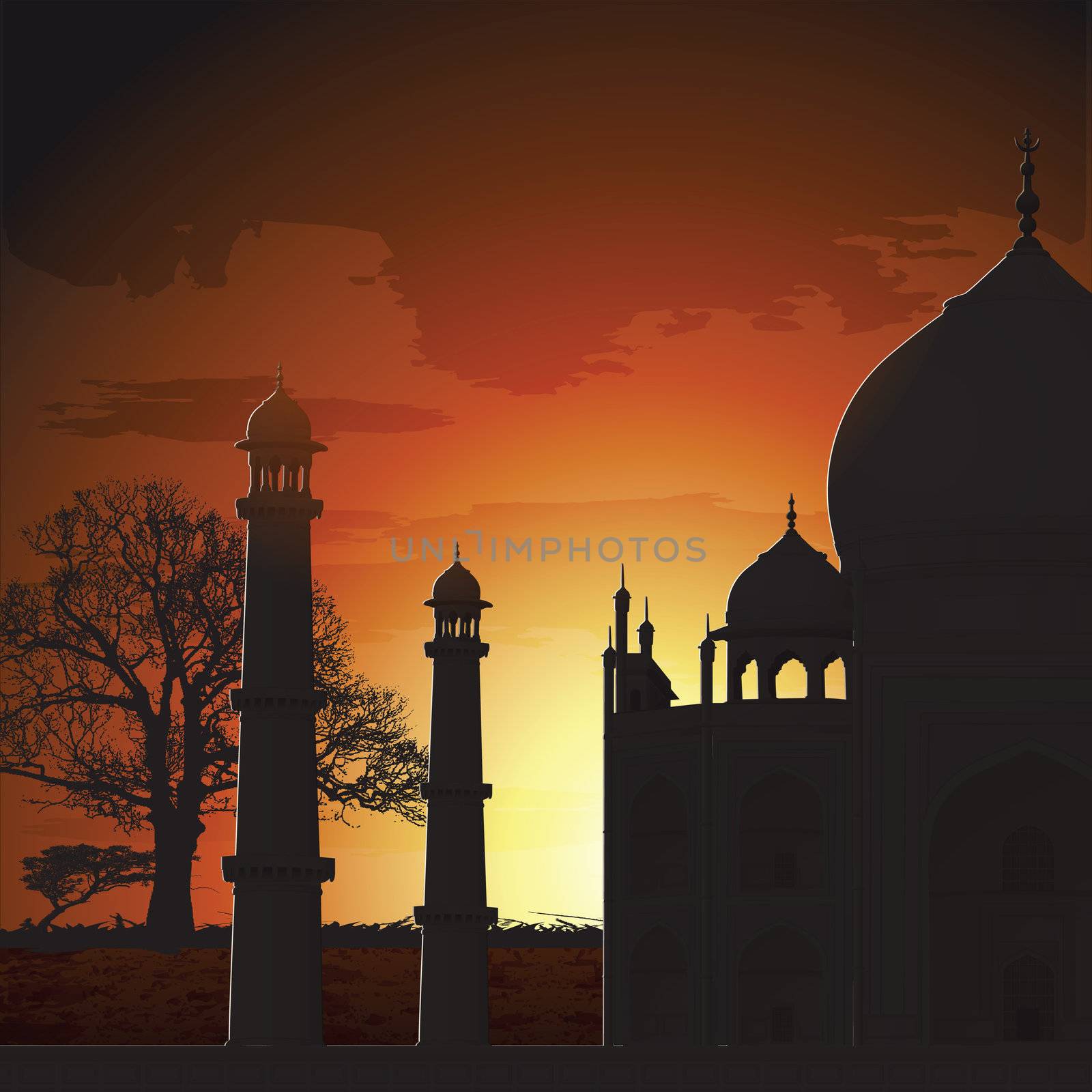 silhouette view of Taj Mahal, agra, India by abhishek4383