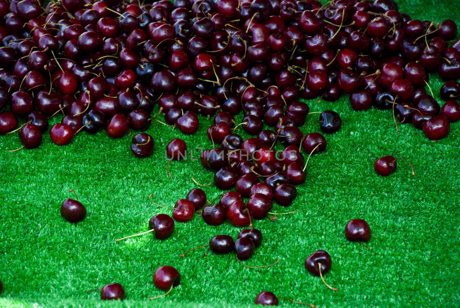 Cherry for sale at the market