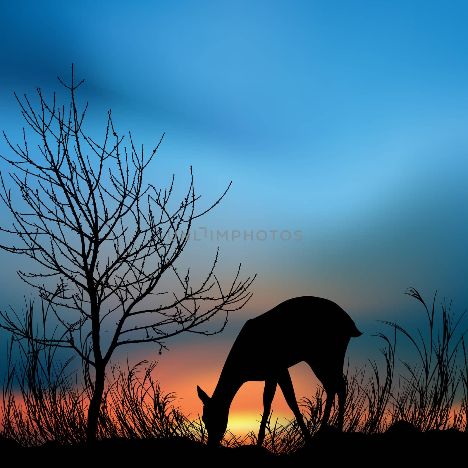 silhouette view of a deer eating grass by abhishek4383