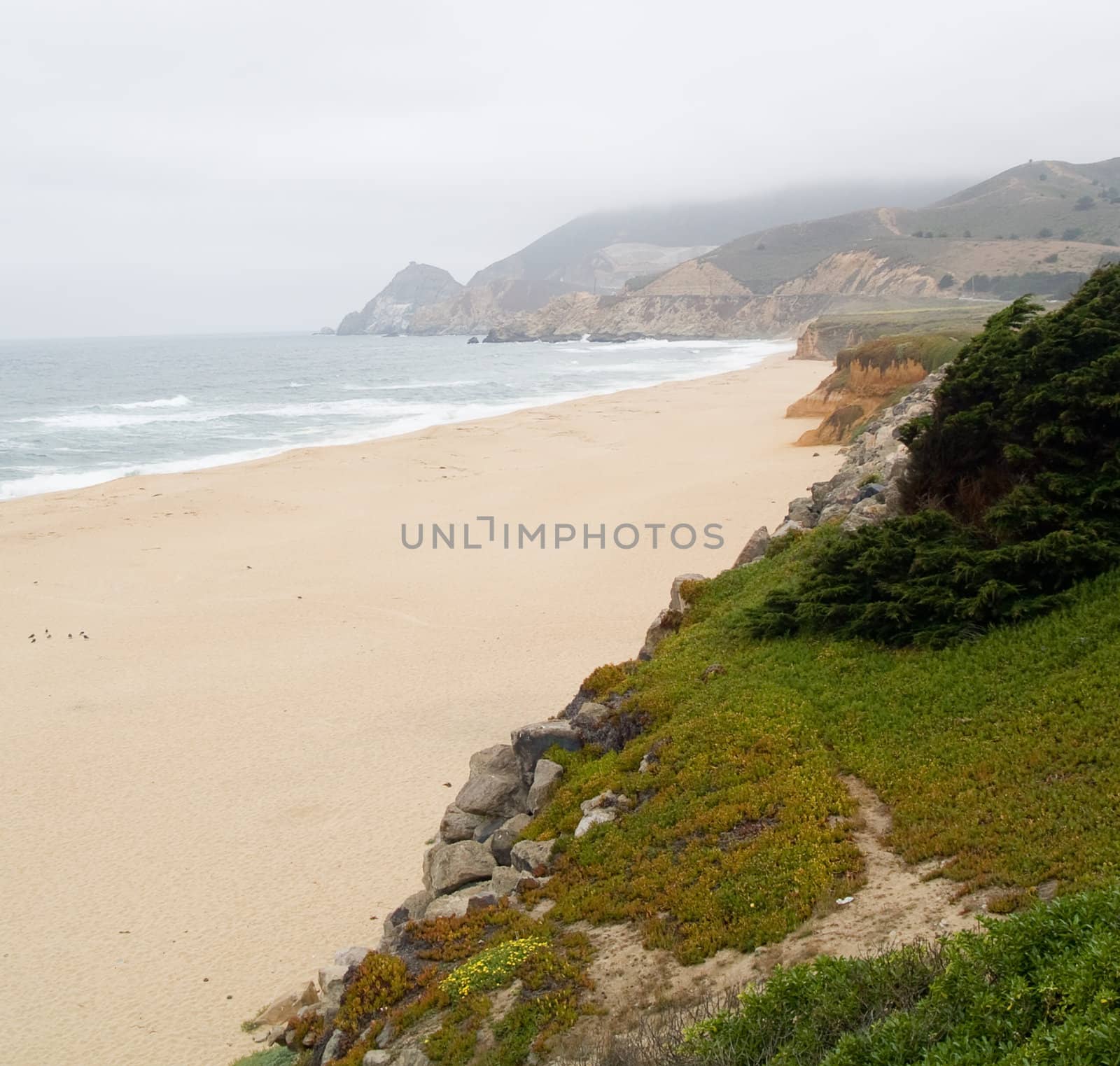 Beach cliffs on a cold, foggy morning.