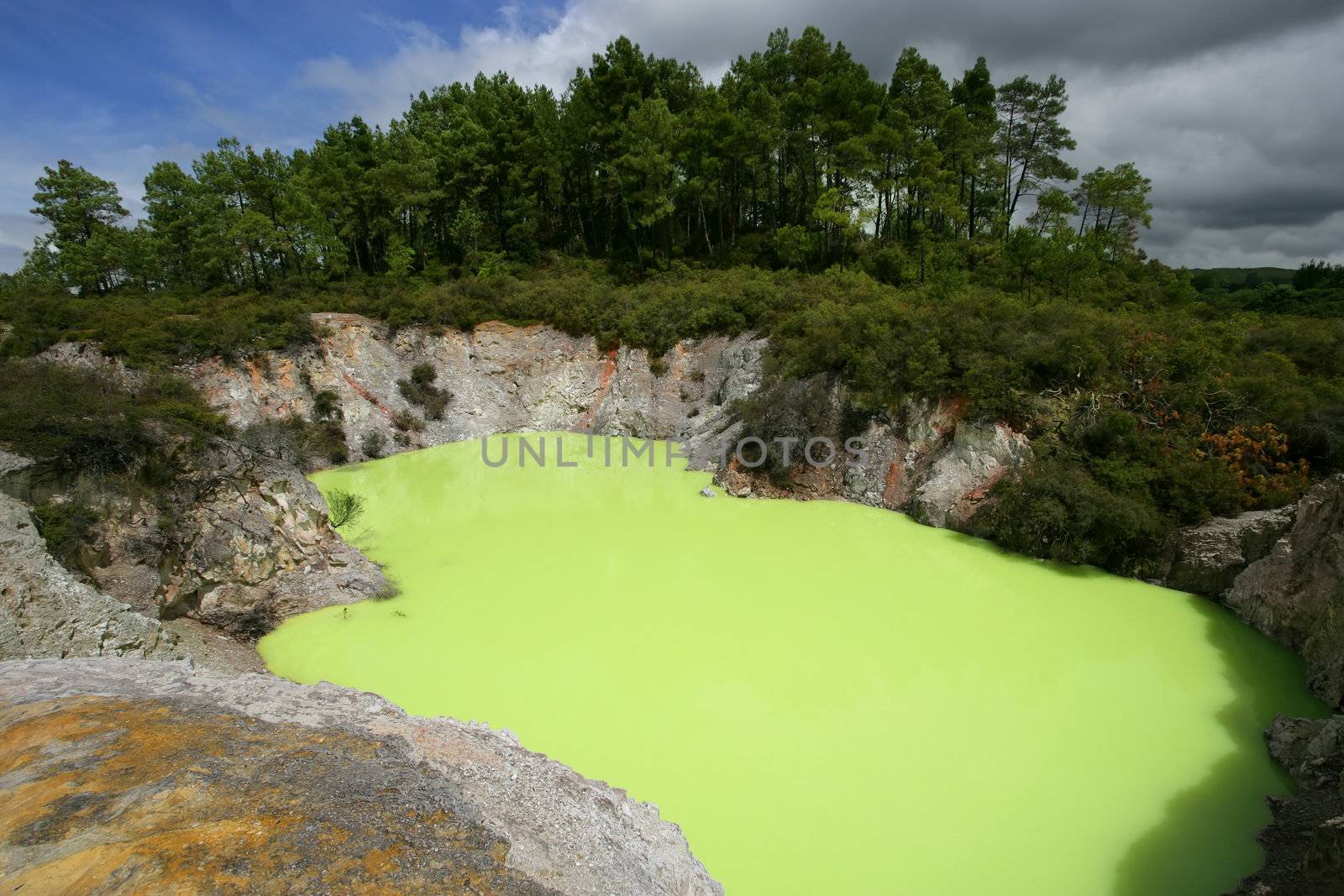 Strange green water of Lake Ngakoro in Rotorua, New Zealand.
