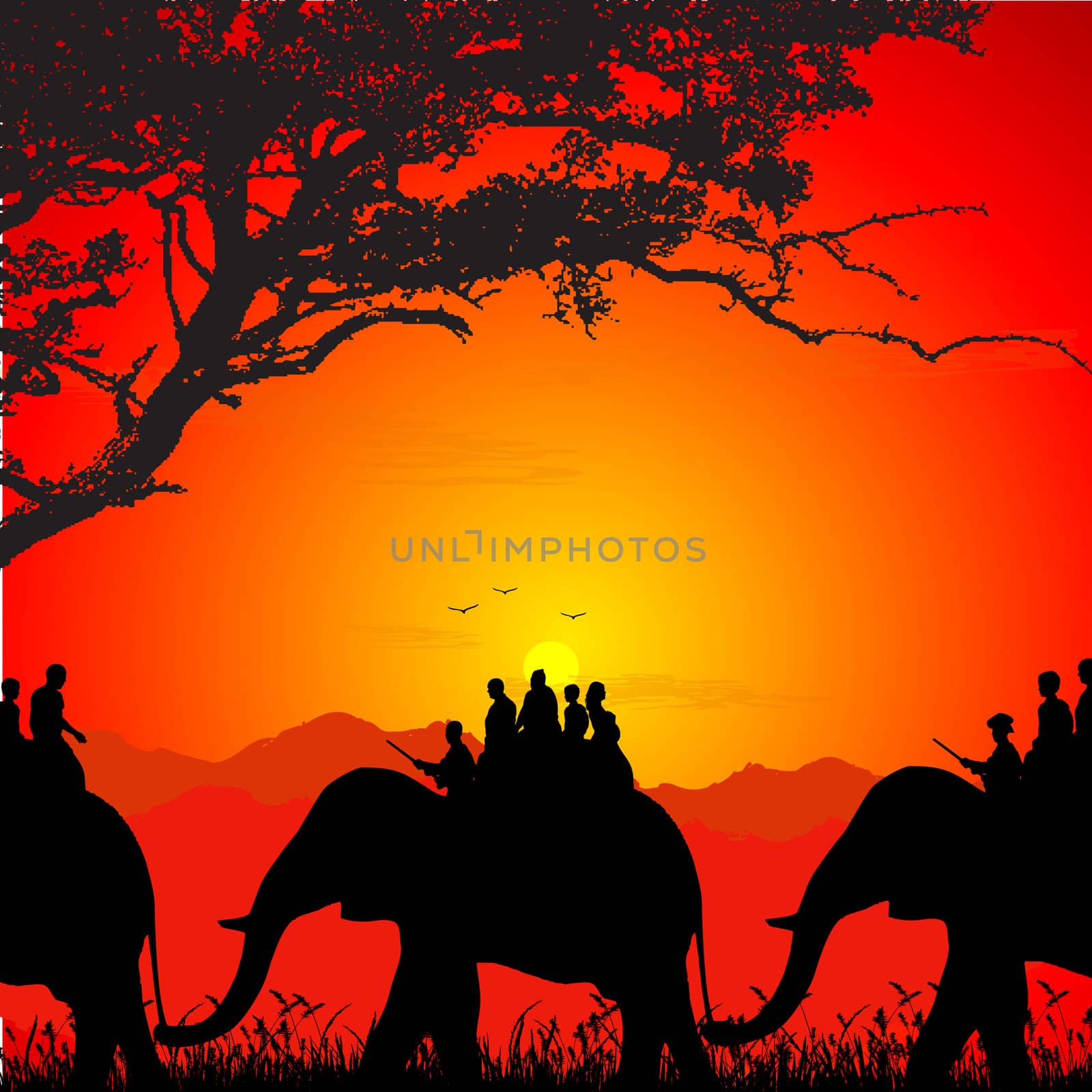 silhouette of wildlife safari on an elephant by abhishek4383