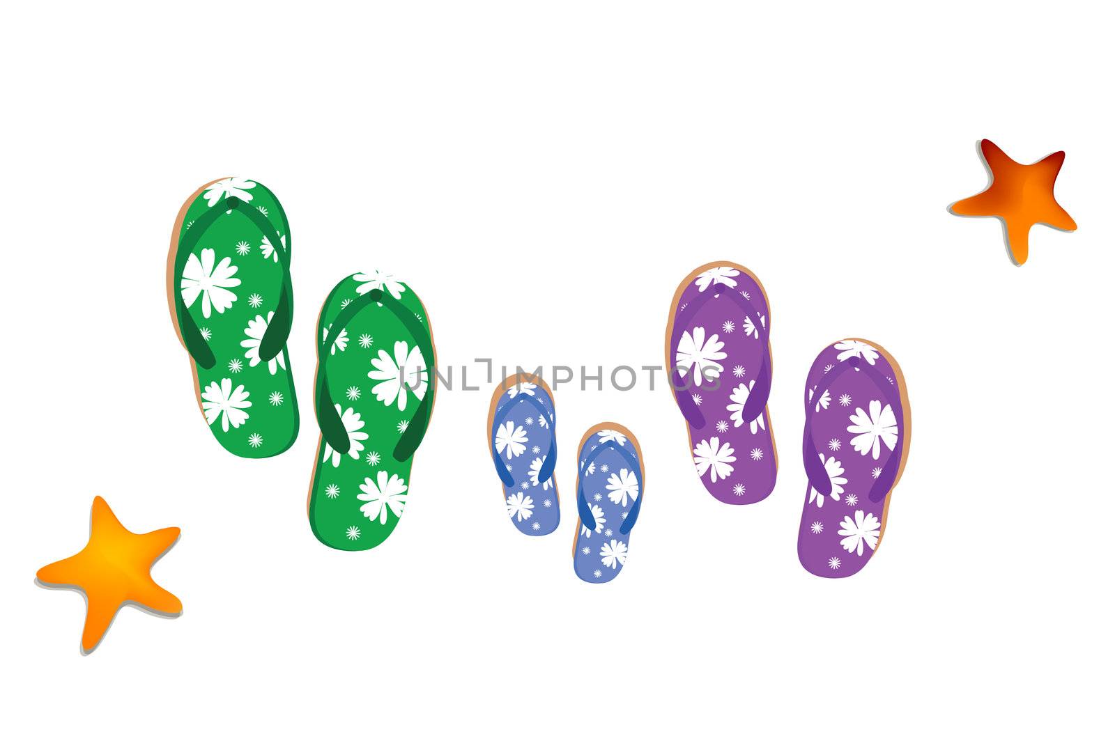 view of slippers and starfish, white background
