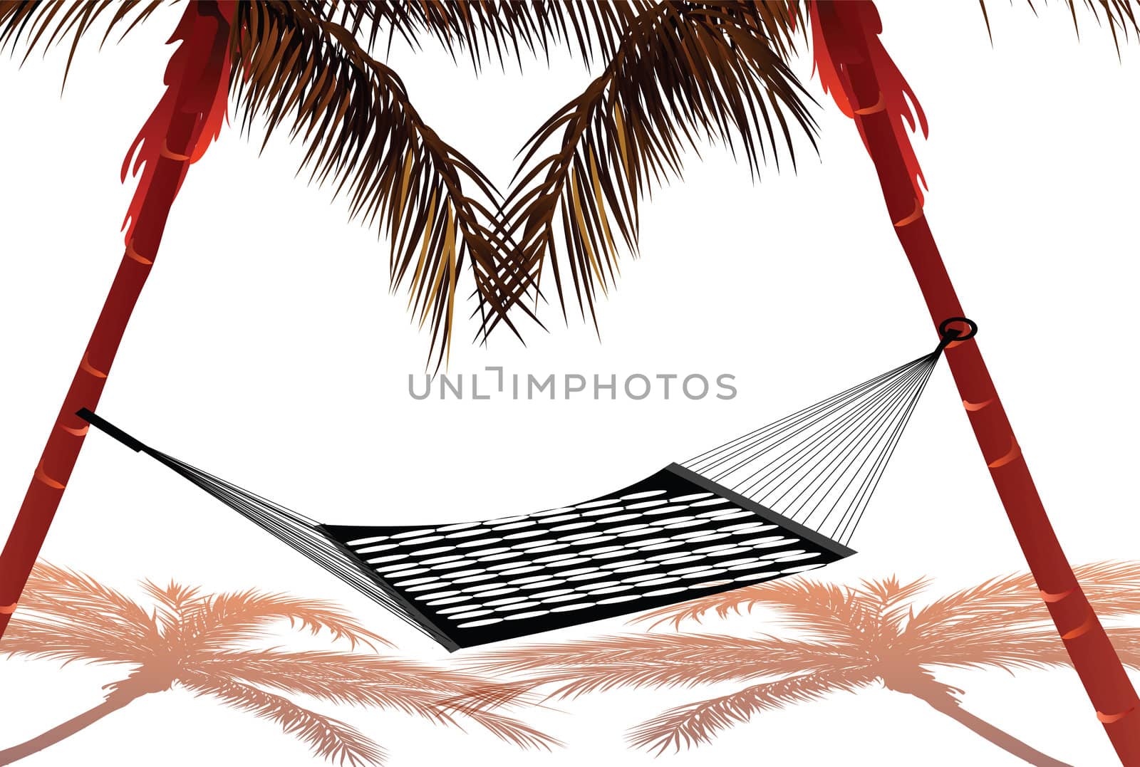 hammock tied to two coconut trees, white background by abhishek4383
