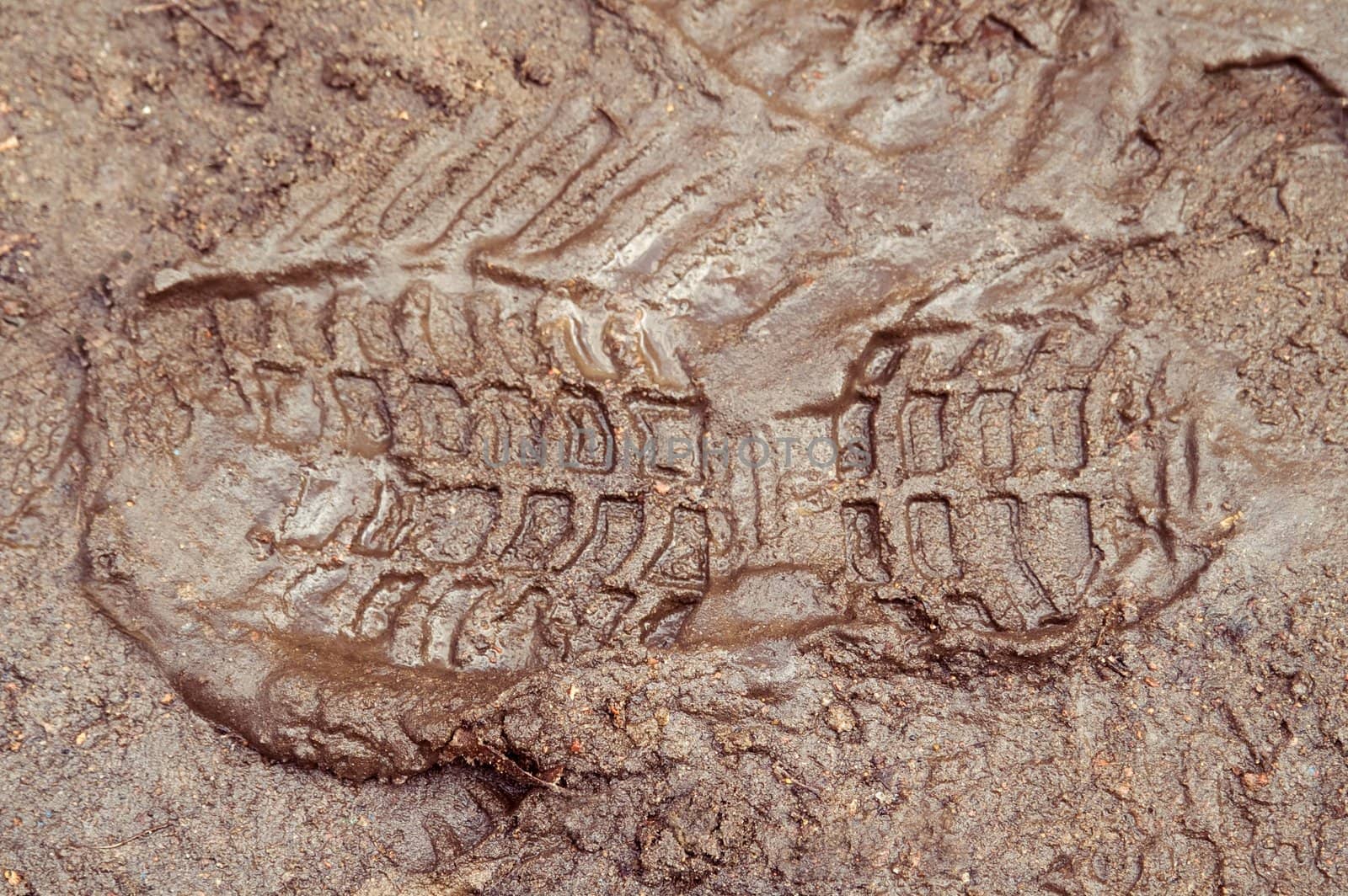 Boot print in brown mud by lilsla