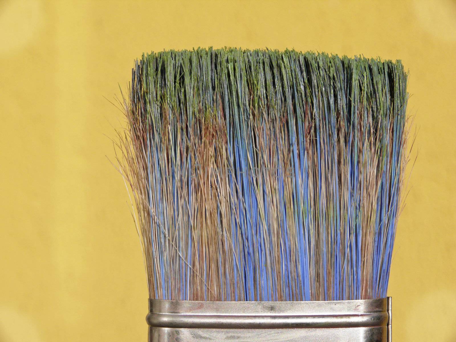 Colorful paint brushes by Farina6000