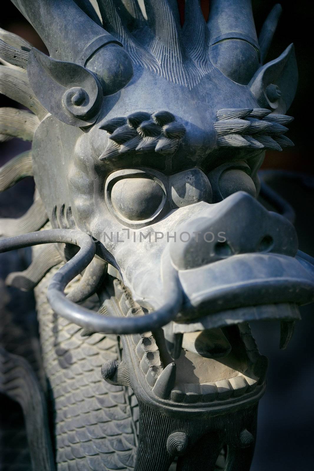 Closeup of the dragon in the Imperial Palace in Beijing, China. (short depth of field, focusing on the eye)
