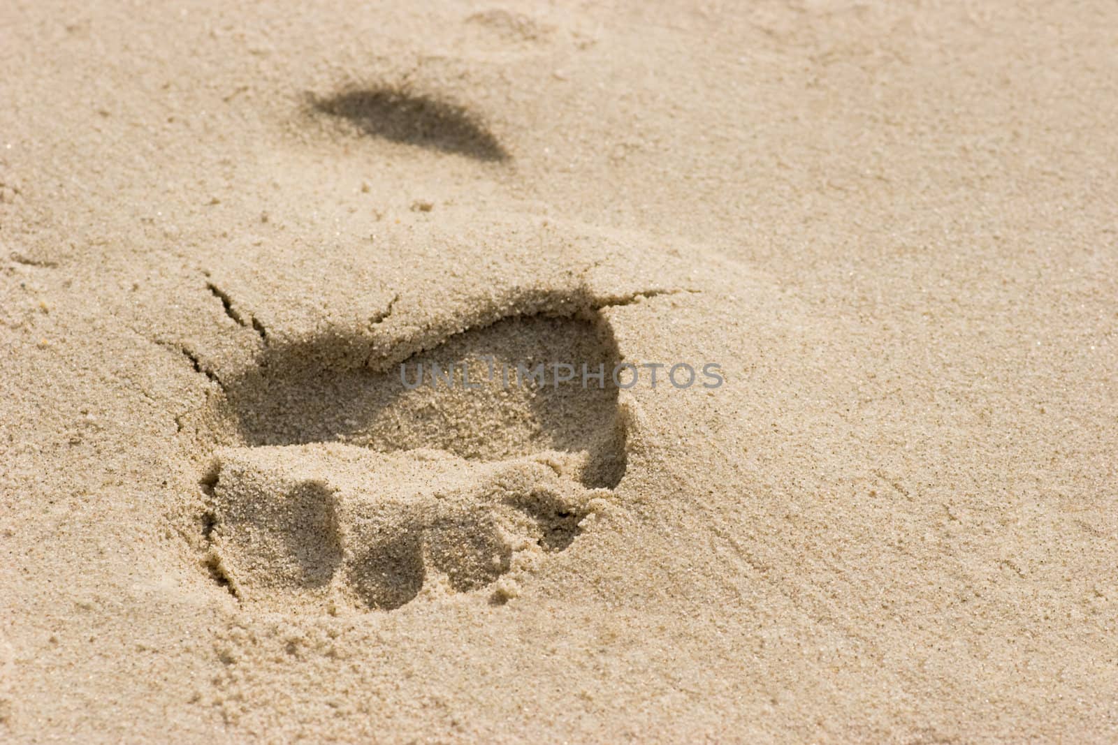One footprint on a sandy beach closeup