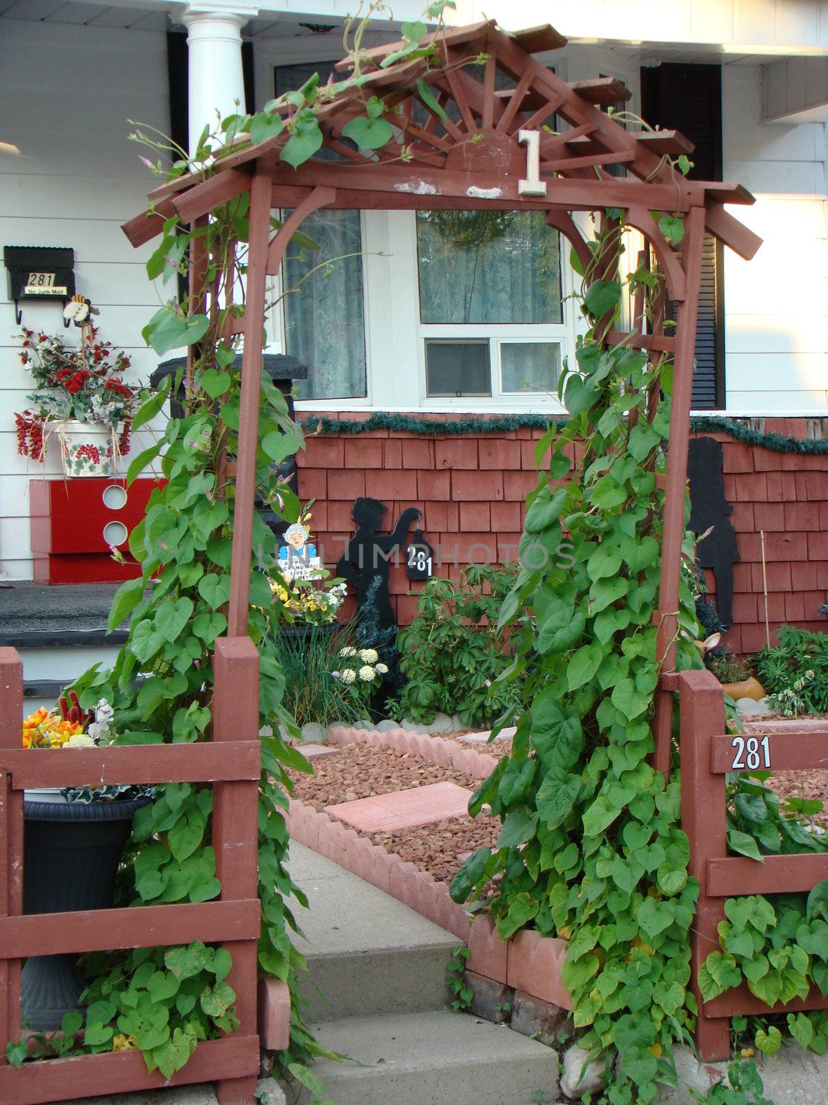 Garden Gate covered in ivy