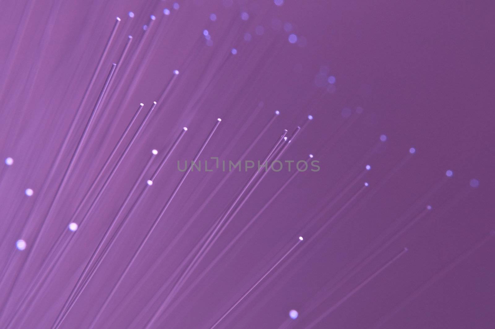 Close and low level capturing the ends of many illuminated mauve fibre optic strands.