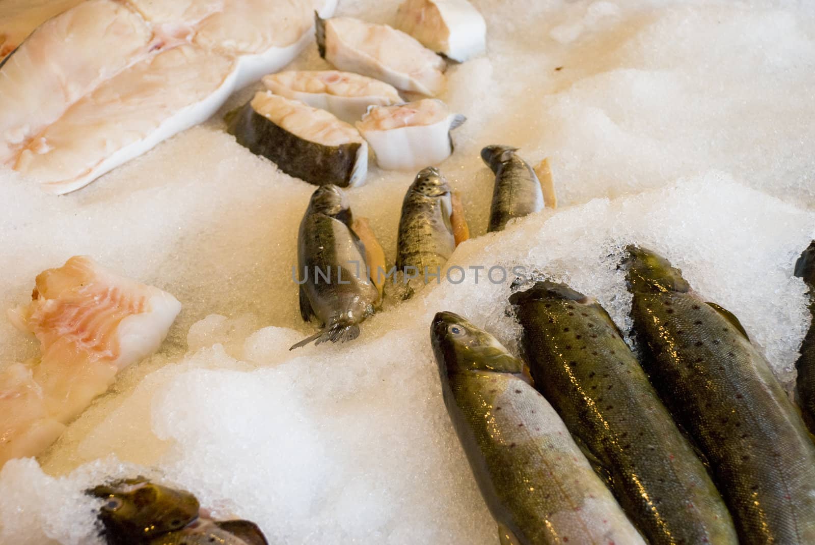 Fish on ice at the market