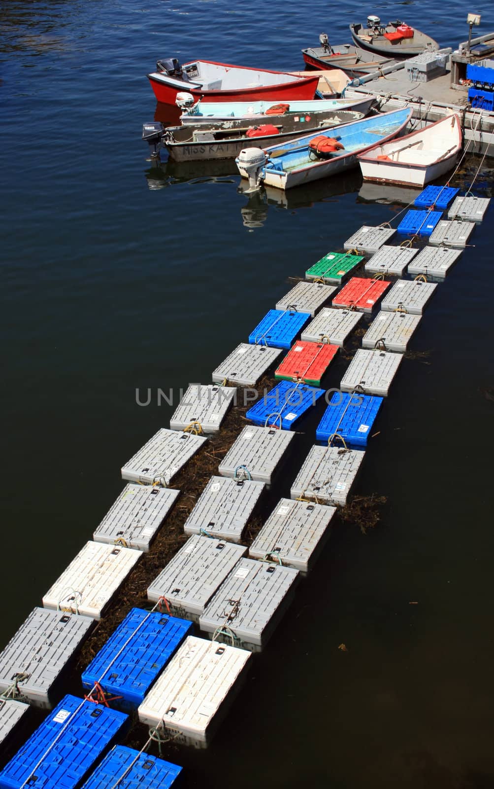 three strings of colorful lobster crates, floating next to a dock with skiffs