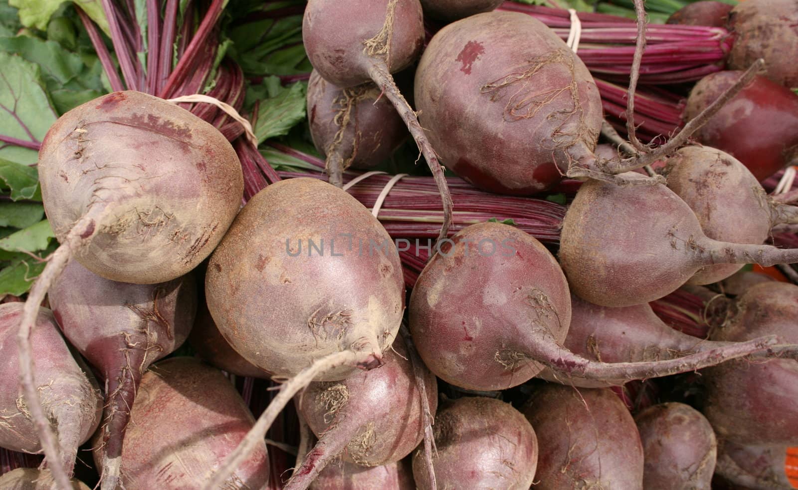 Organic beets freshly picked and available at a farmers' market
