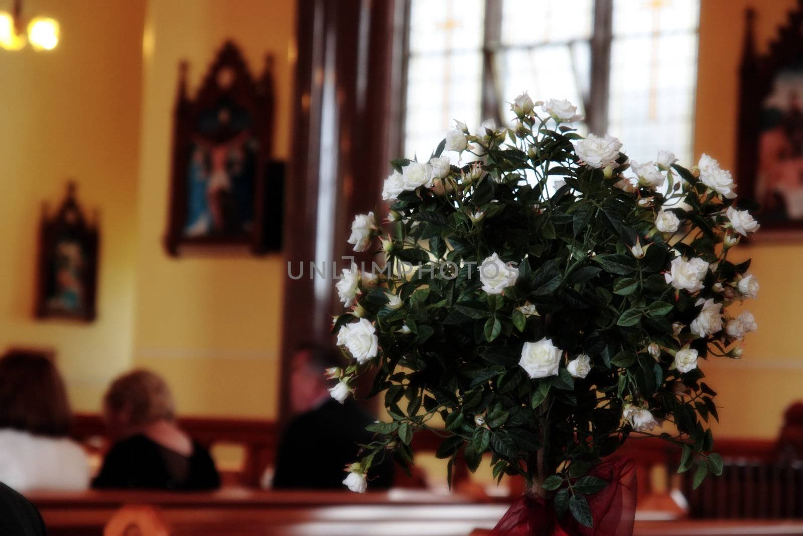 a wedding bouquet of simple white roses