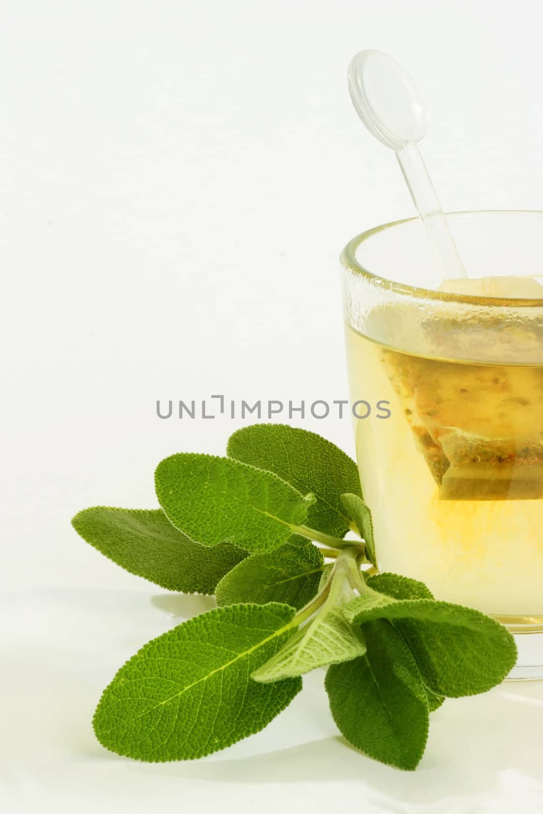 Herbal tea with fresh sage on bright background