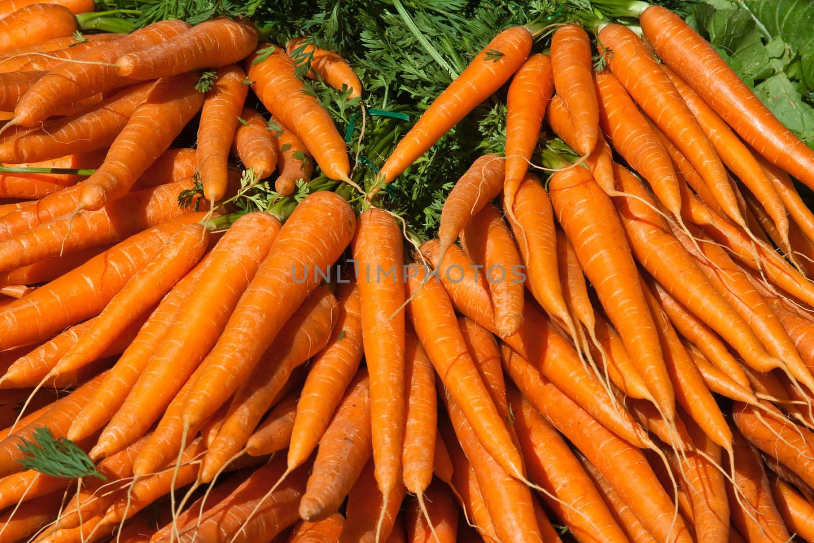 Fresh carrots at an outdoor market in Paris France