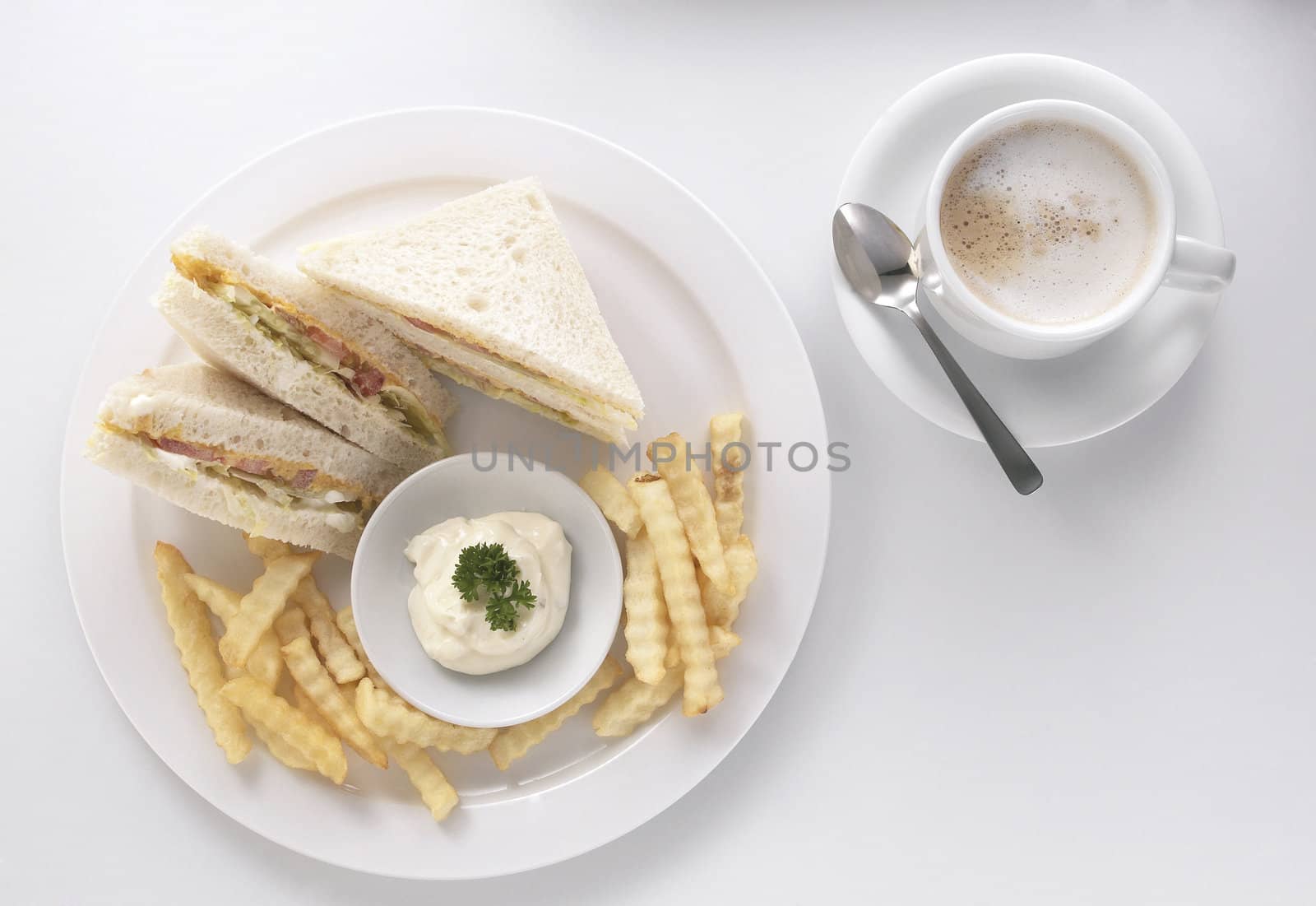 sandwich with french fries served on the plate