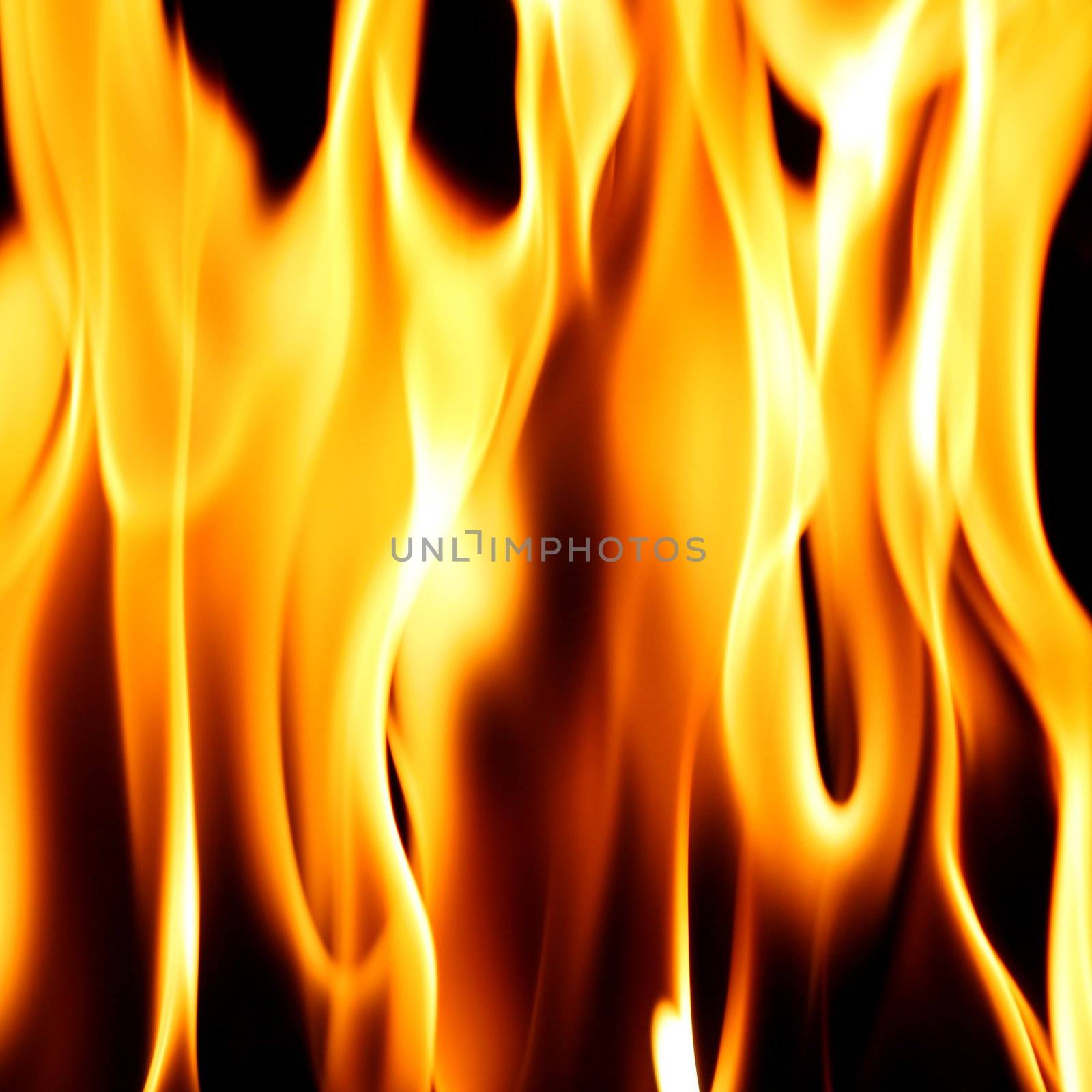 fire on black close up abstract background