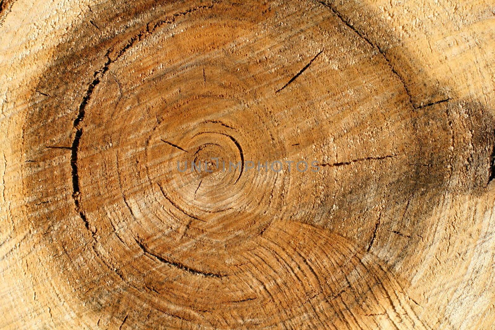 Pile old wood texture background