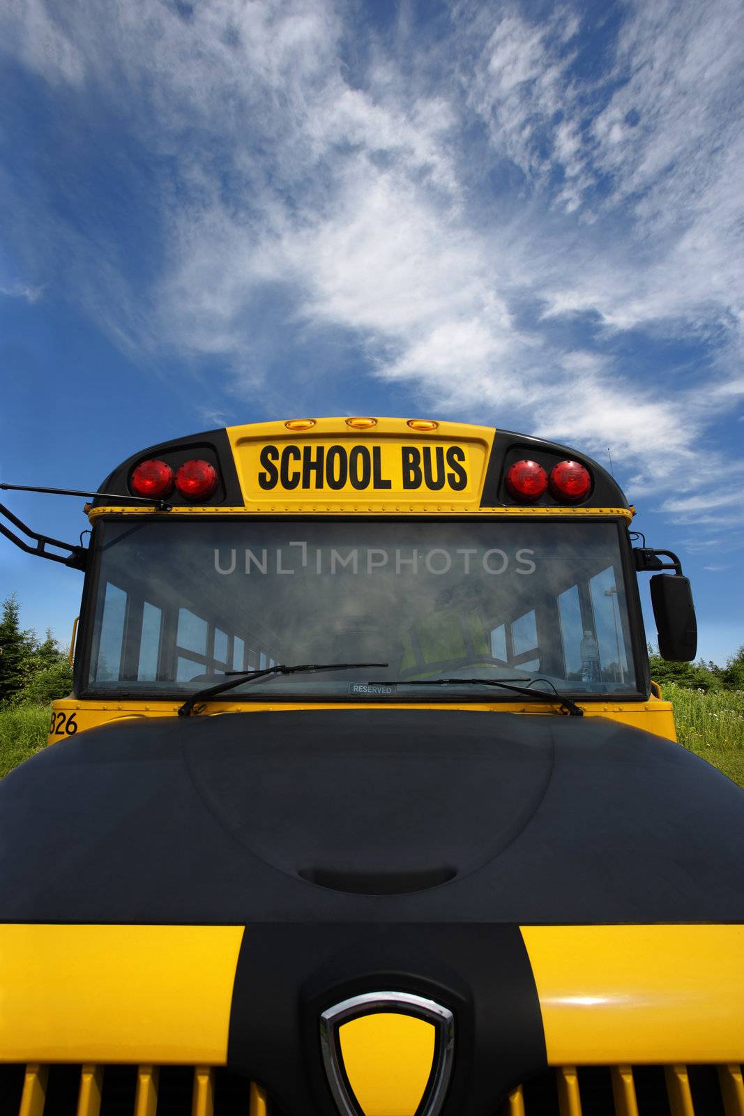 School bus by sumners