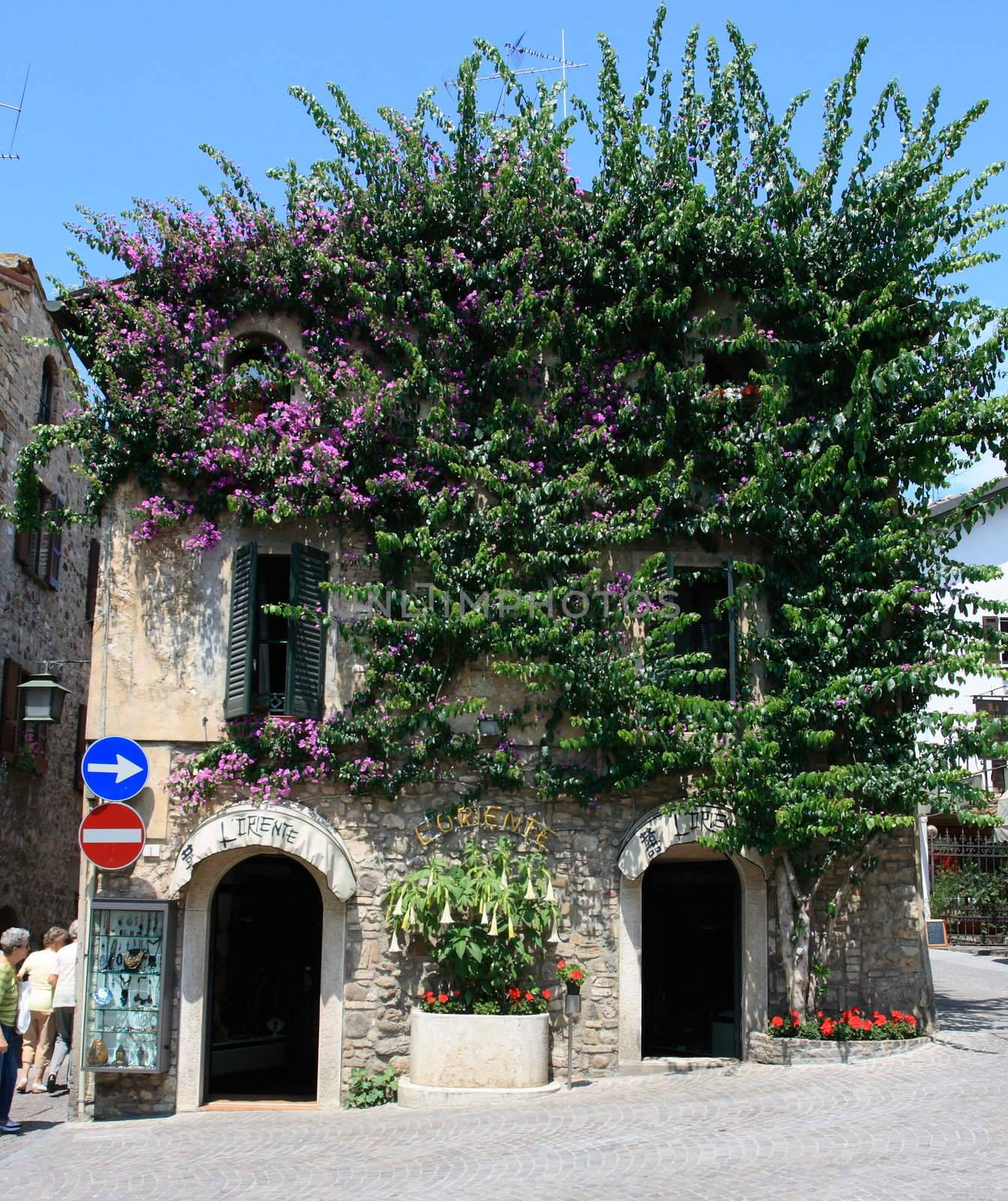 Italian villa in small village