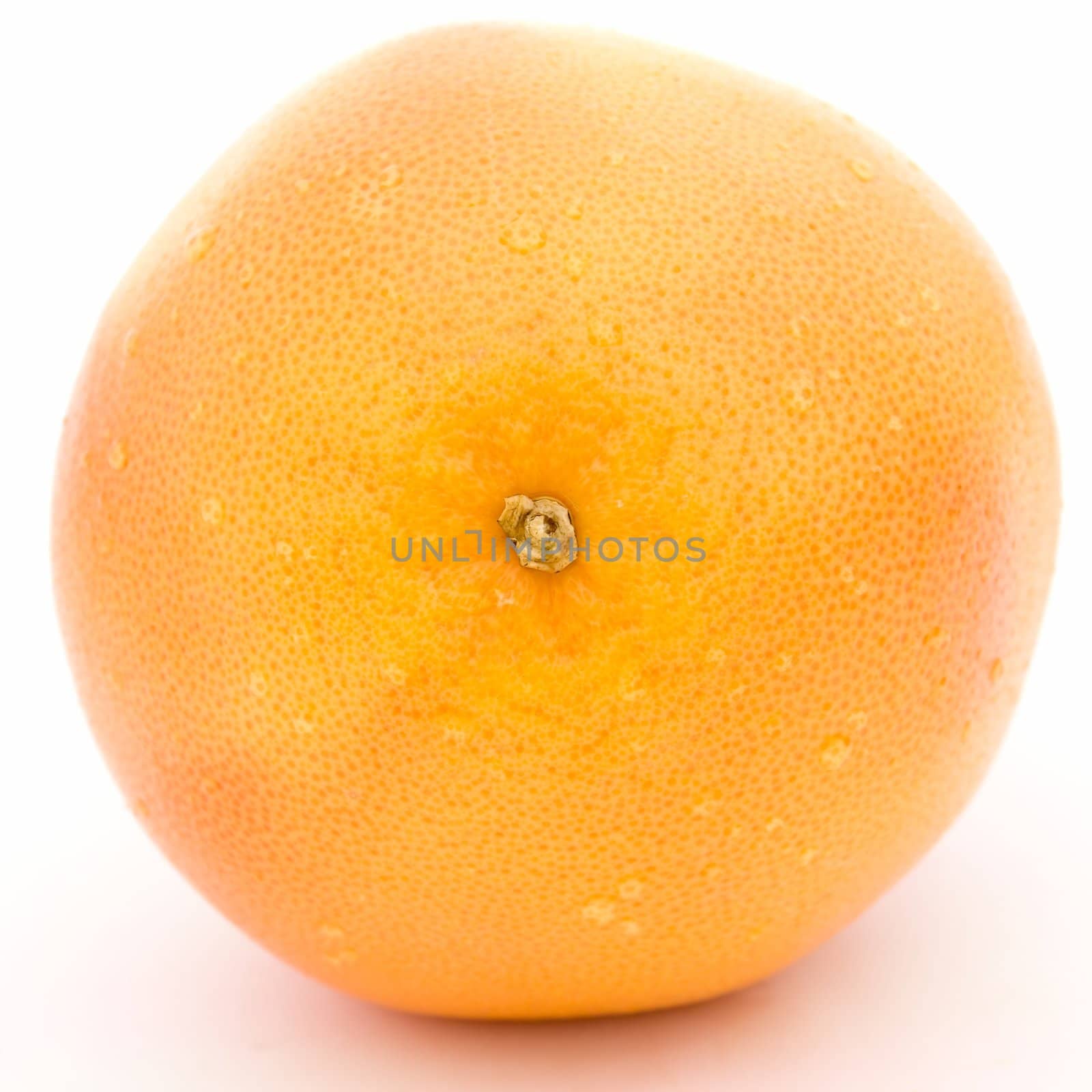 One big grapefruit by stepanov