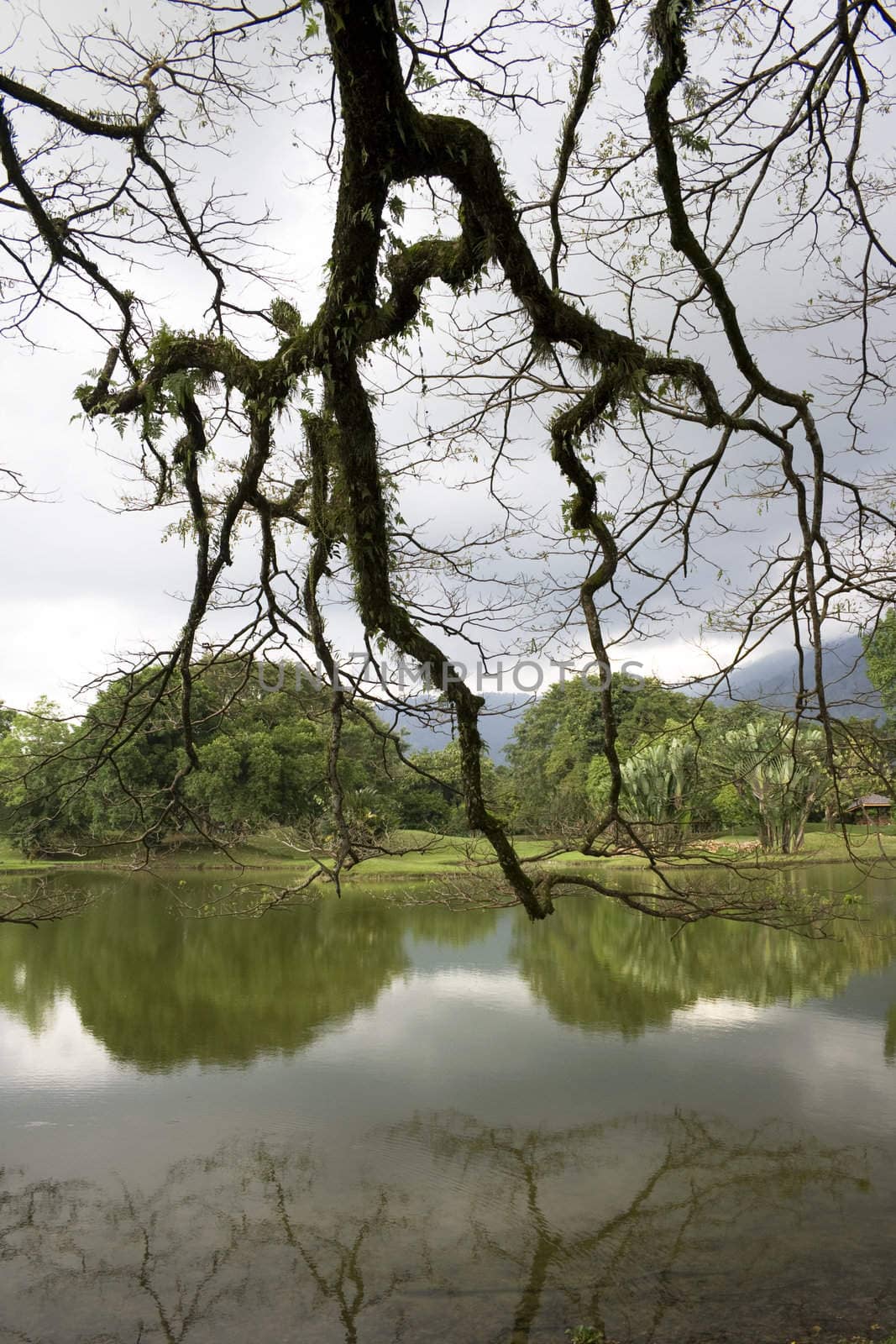 Lakeside view in a tropical country.