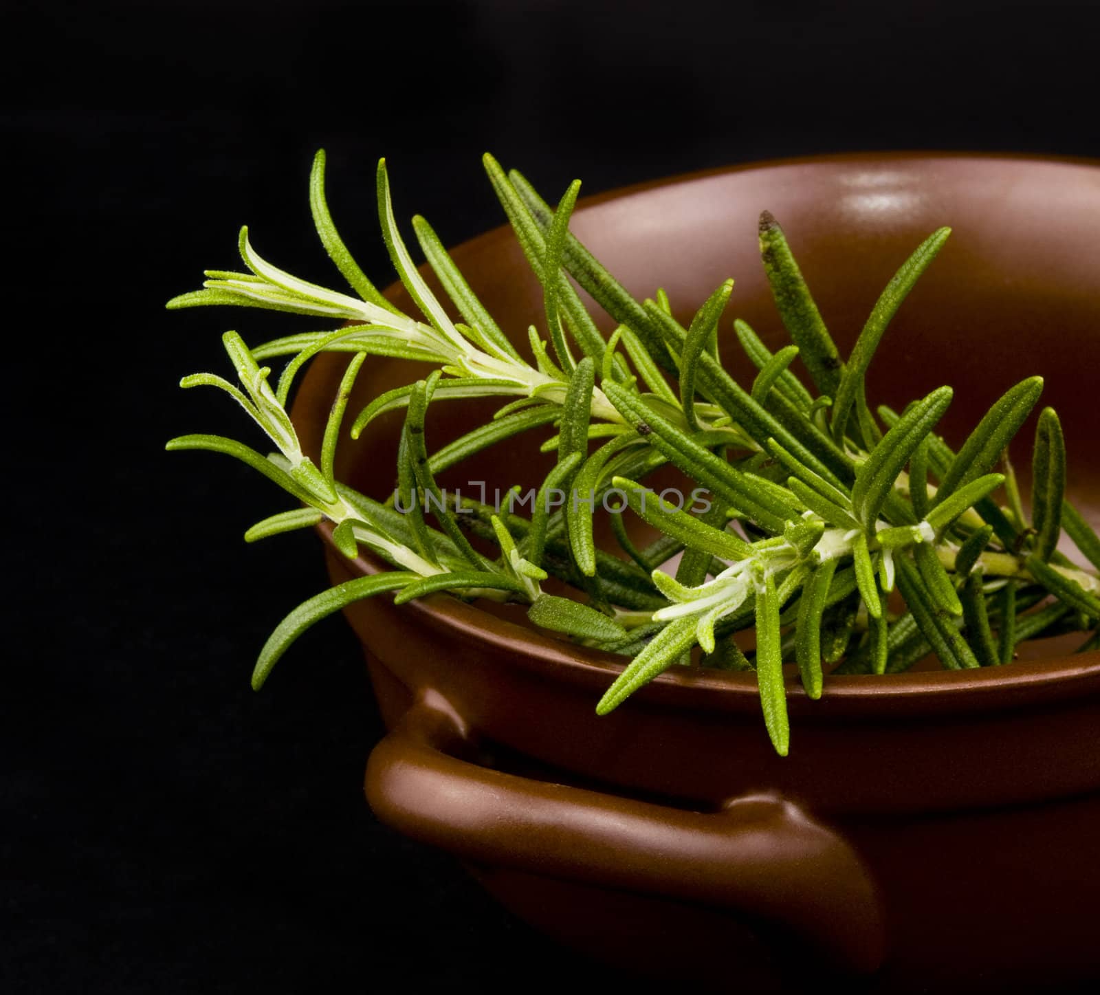 Fresh rosemary in ceramic bowl on black background