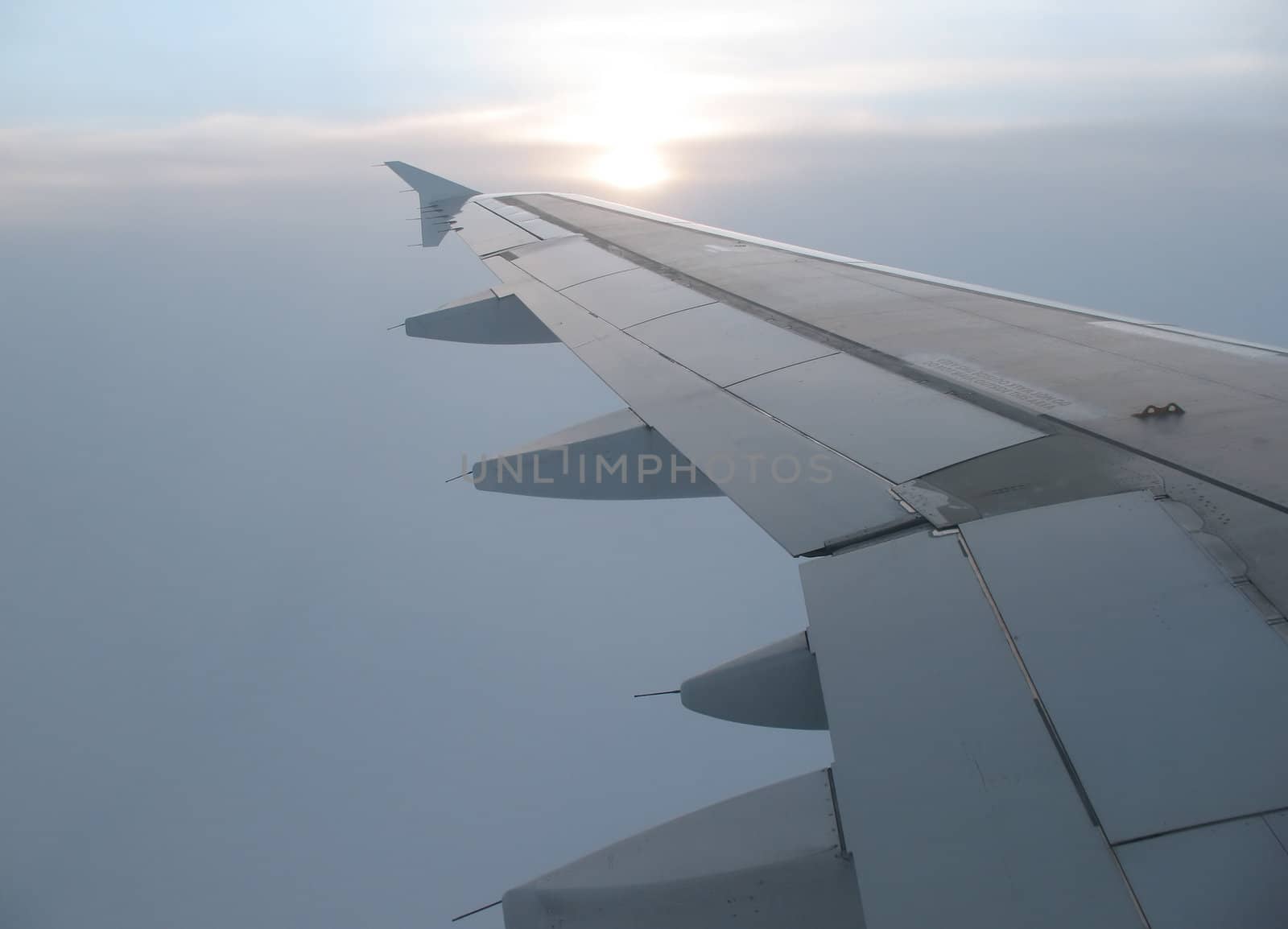 Foggy scene from plane window.