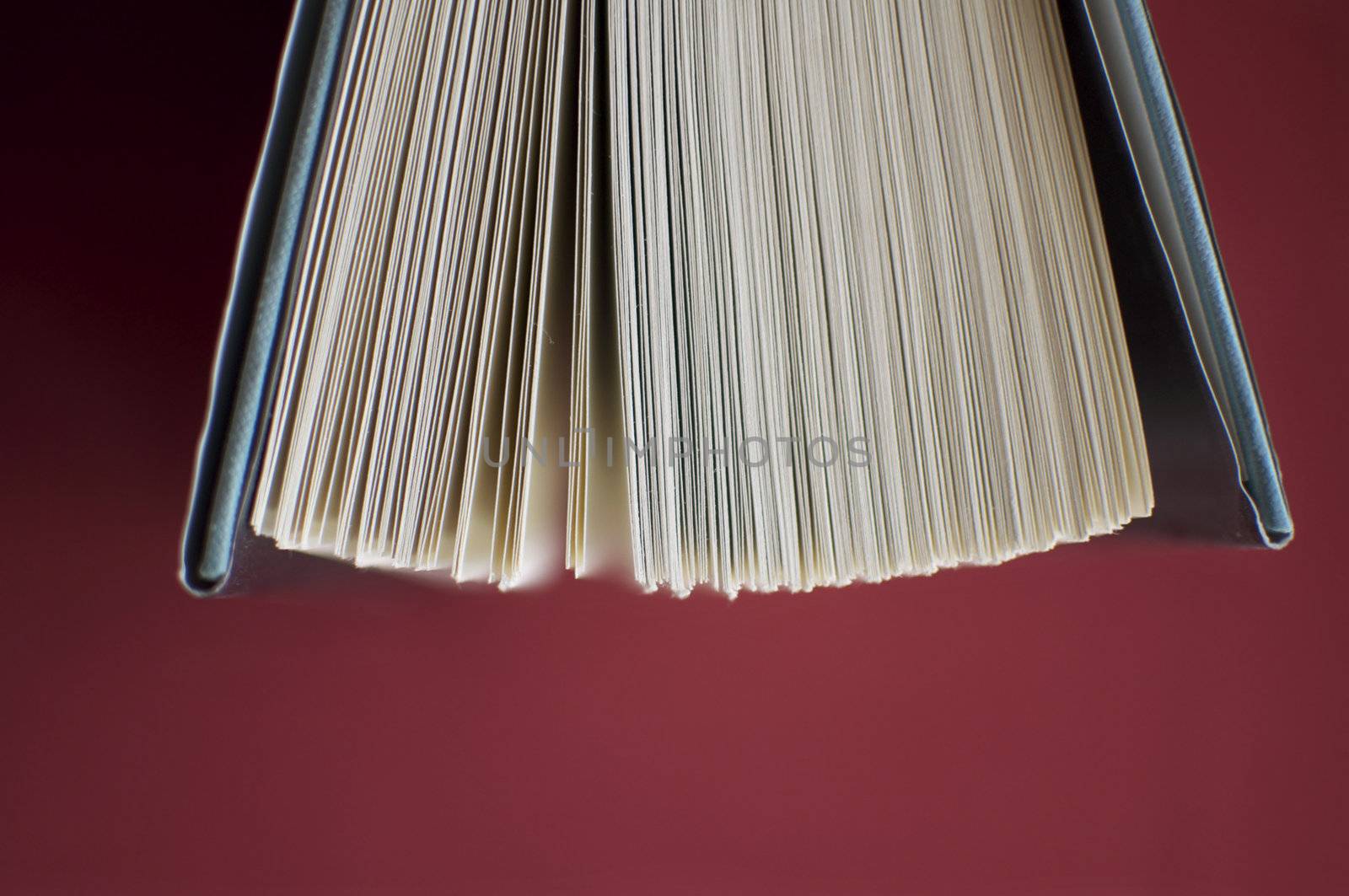 Book Pages Background by gilmourbto2001