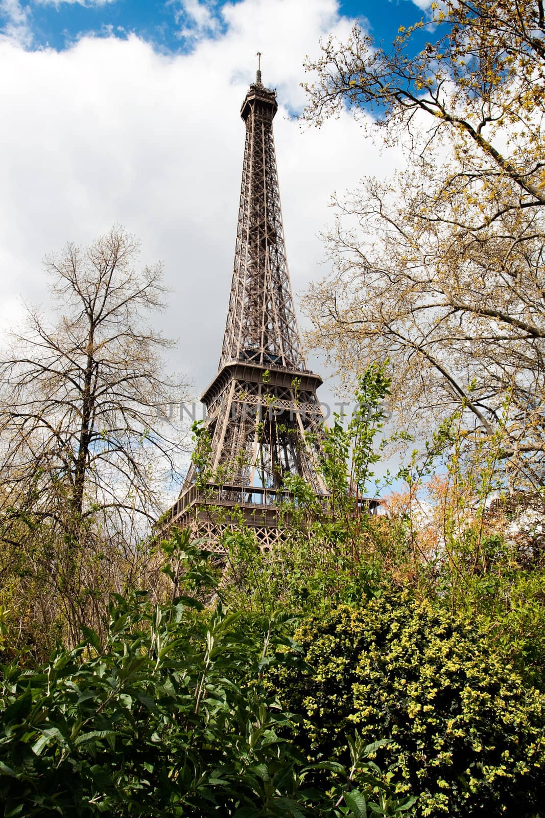 Eiffel Tower by ints