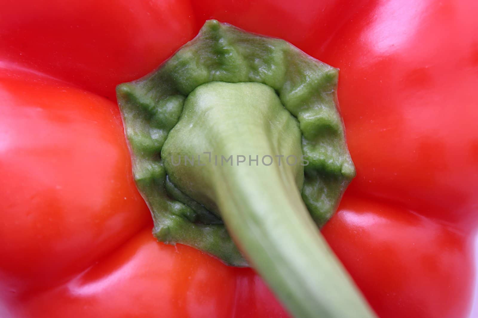 Closeup of a red bell pepper with red and green colors