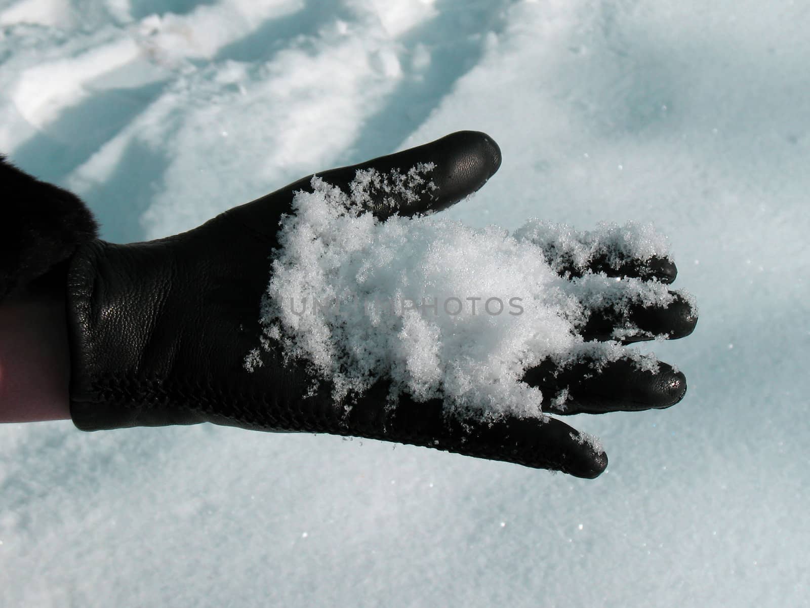 Hand with snow. by julien