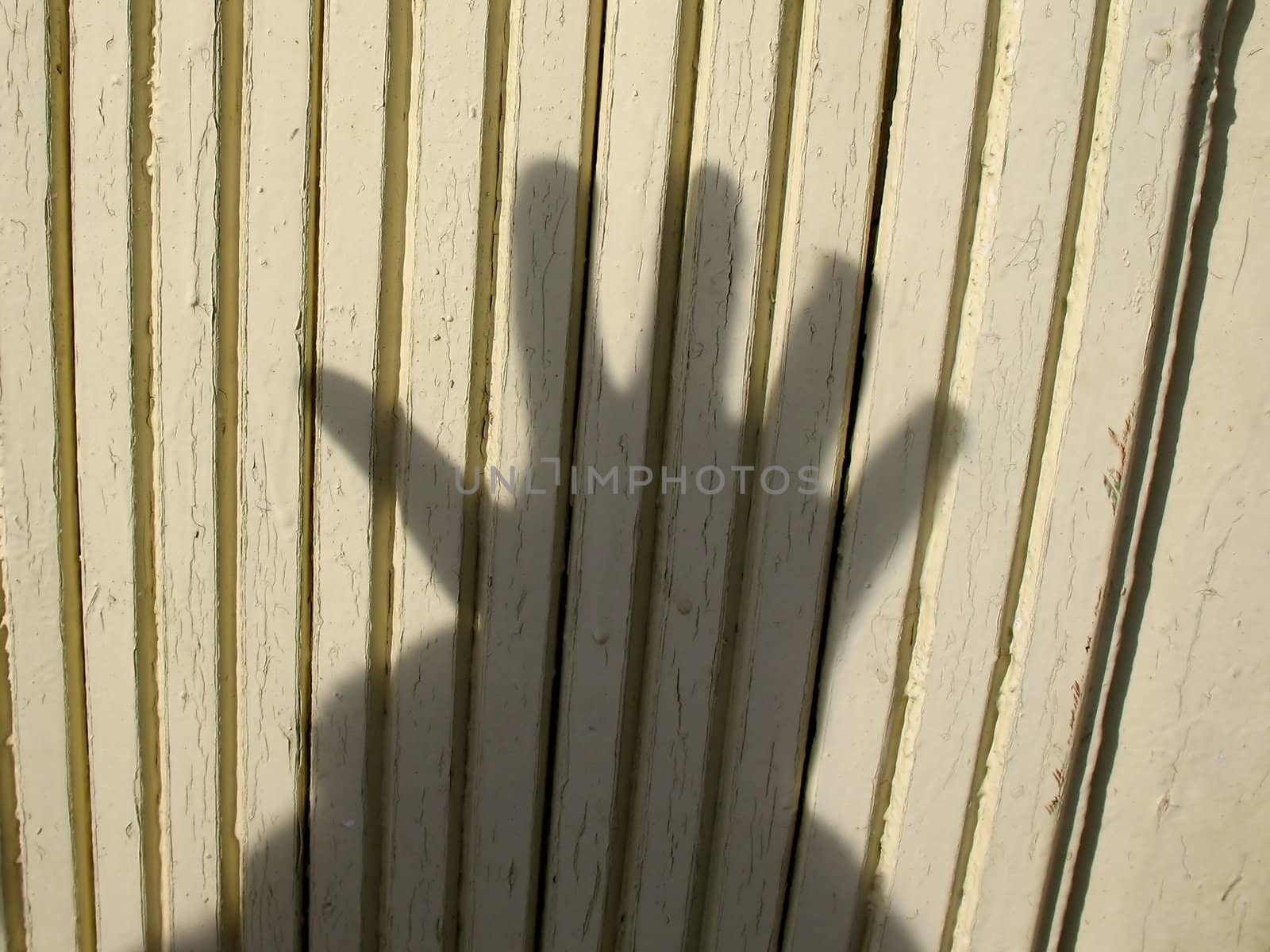 Hand`s shadow on wood wall. by julien