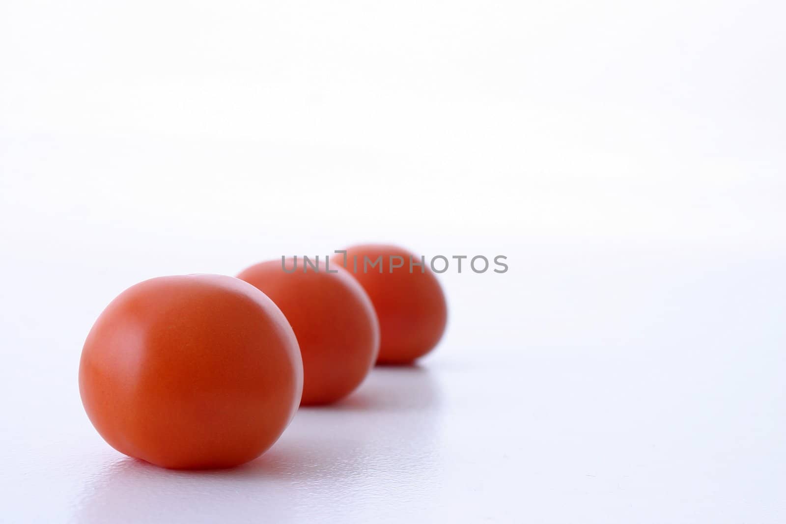 Tree tomatoes on a row. Taken on white background