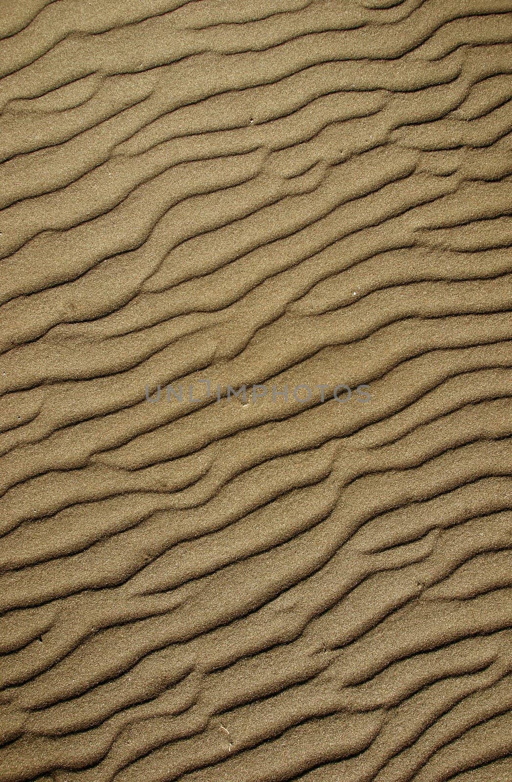 Waves pattern in beach sand