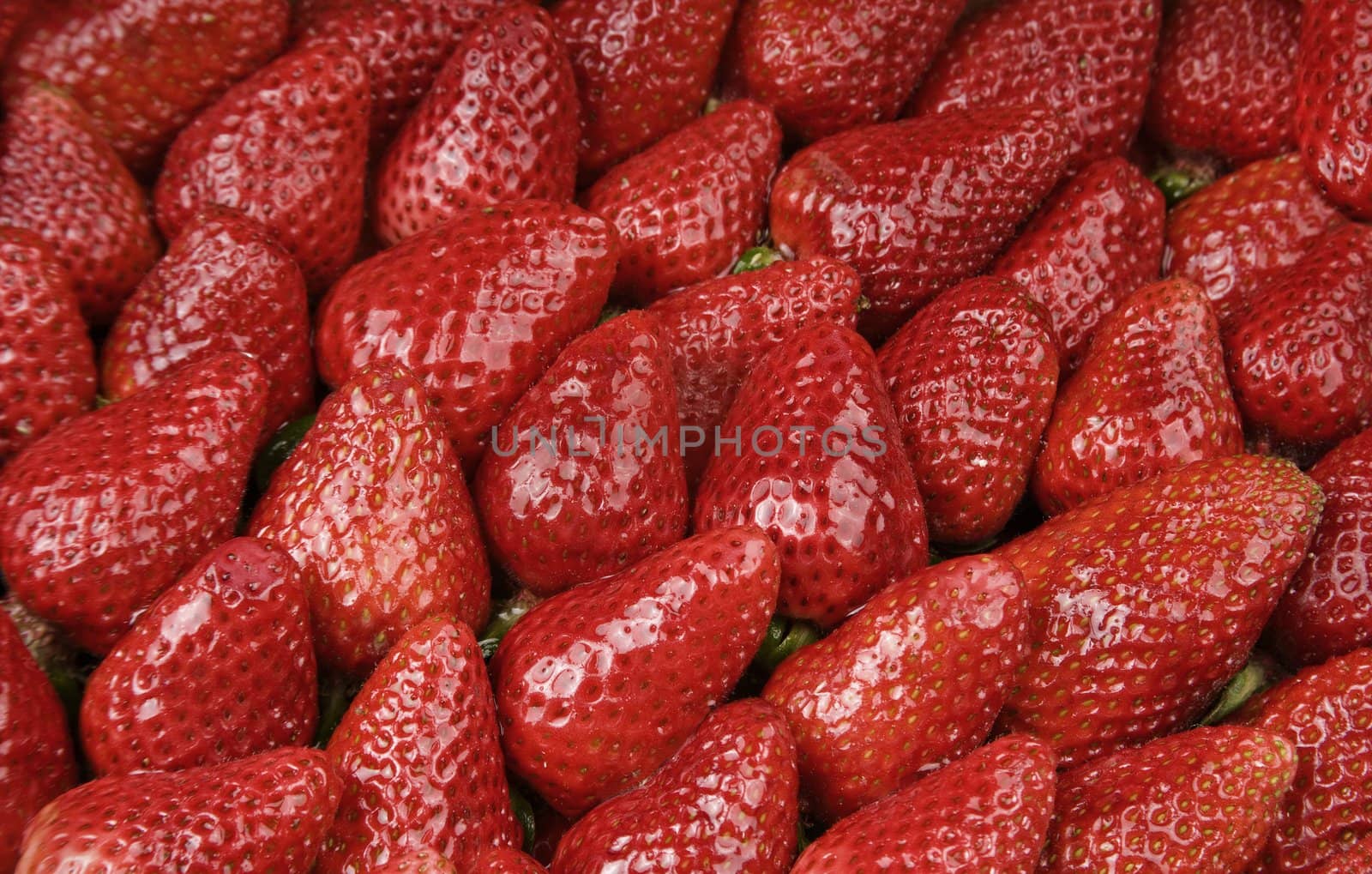Bright Red Strawberries by Creatista