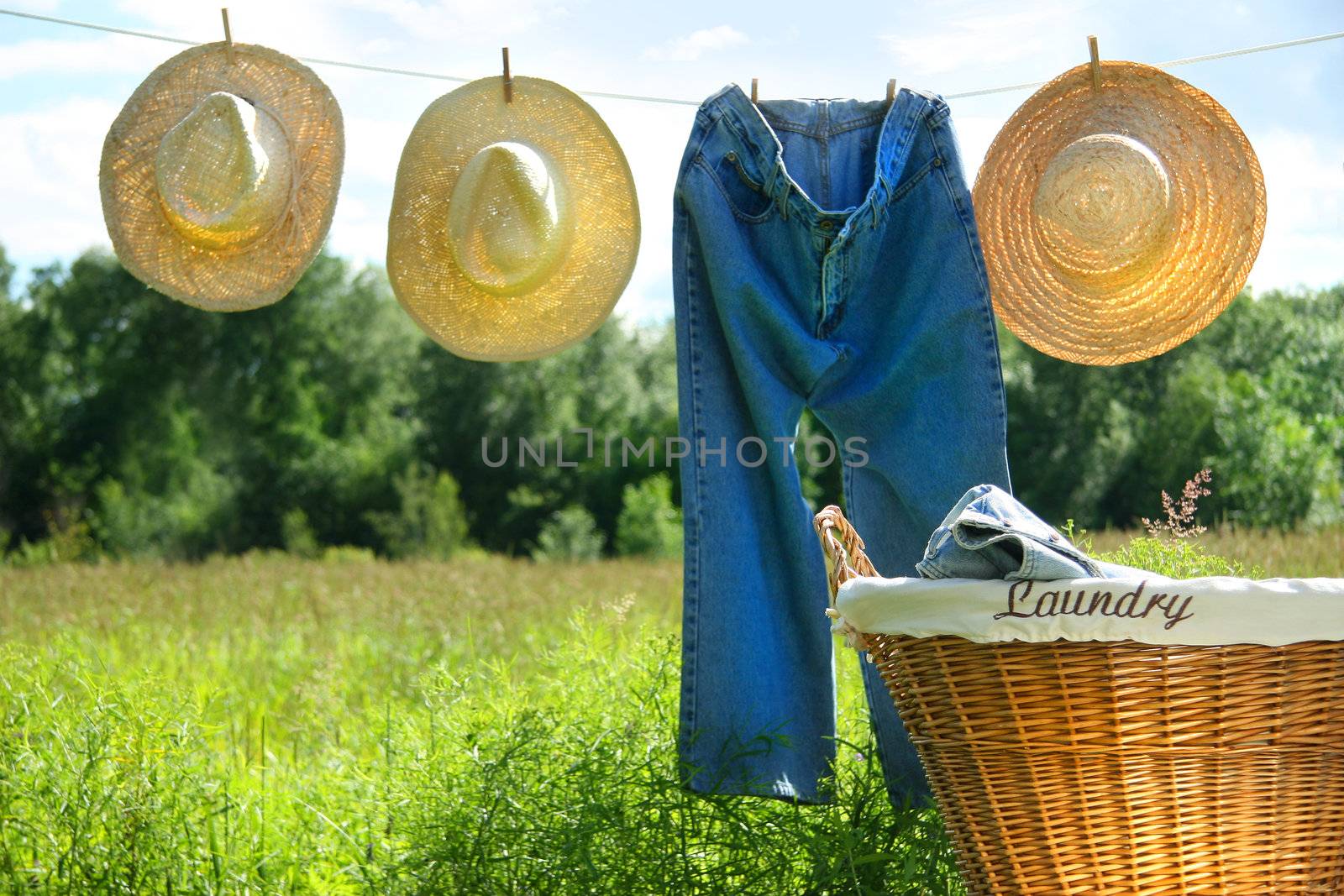 Blue jeans and straw hats on clothesline in a field