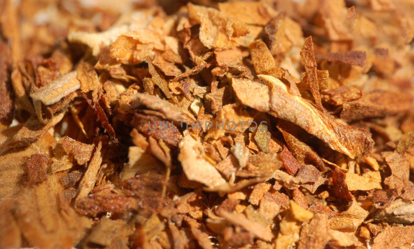macro pattern of dried tobacco leaves