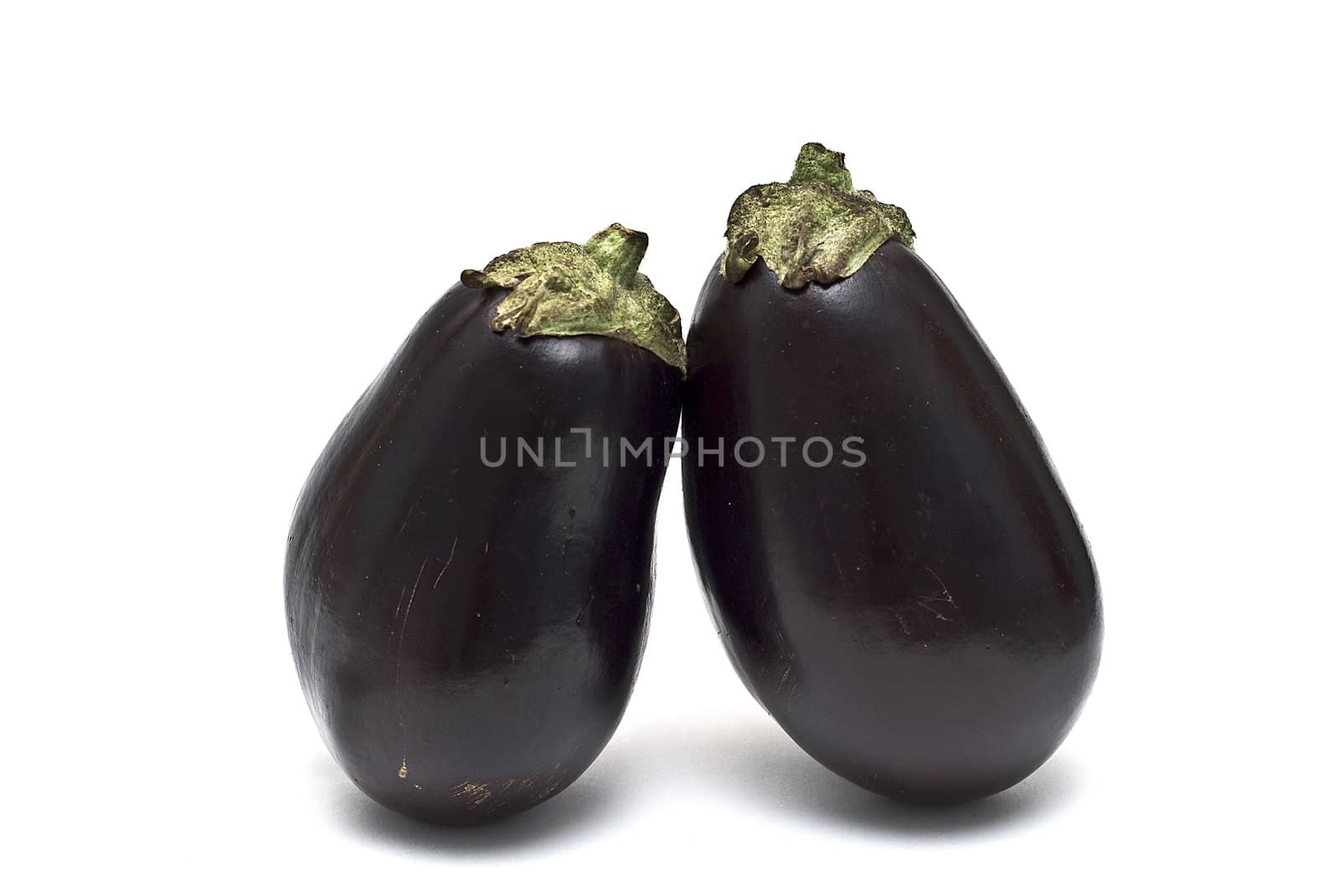 Eggplant. by angelsimon