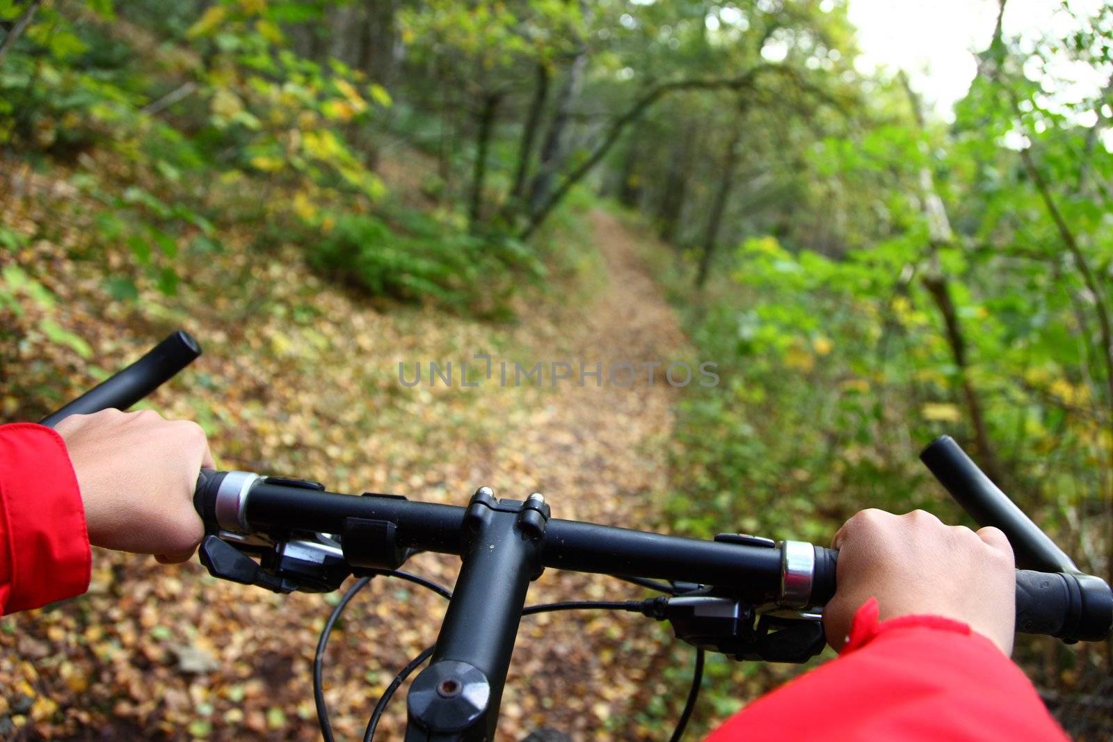 Biking. Mountainbike in the autumn forest.