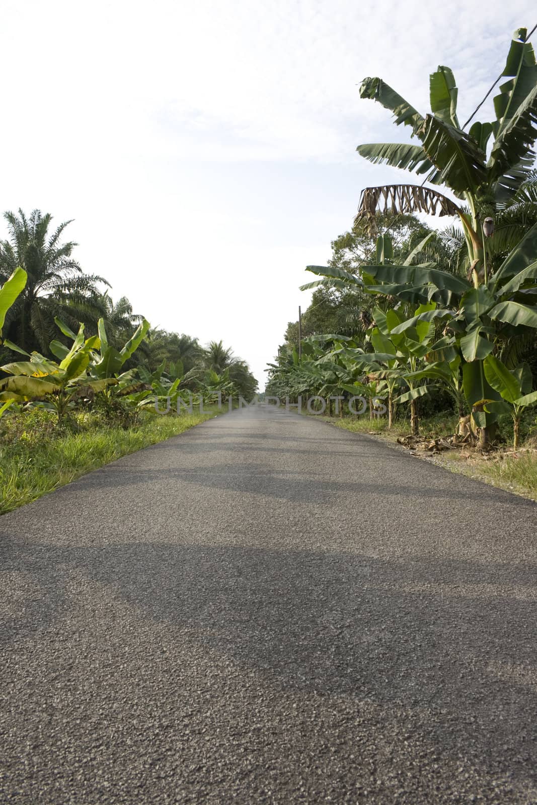 Road at a countryside in a tropical country.
