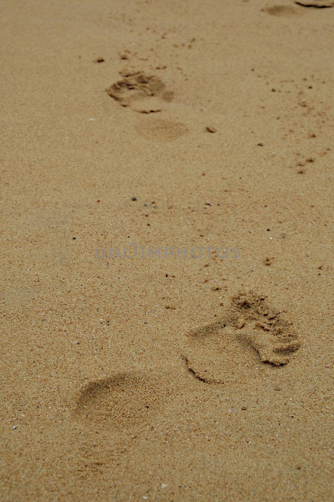 Footprints in the sand by cfoto