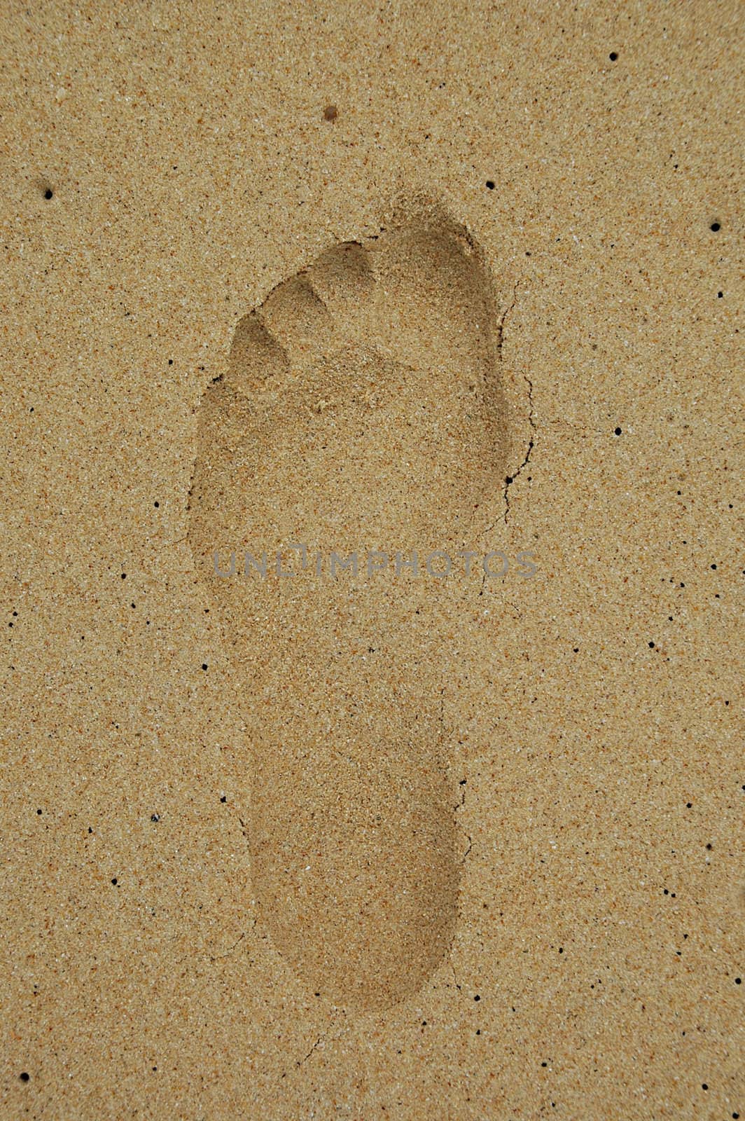 Footprint by cfoto
