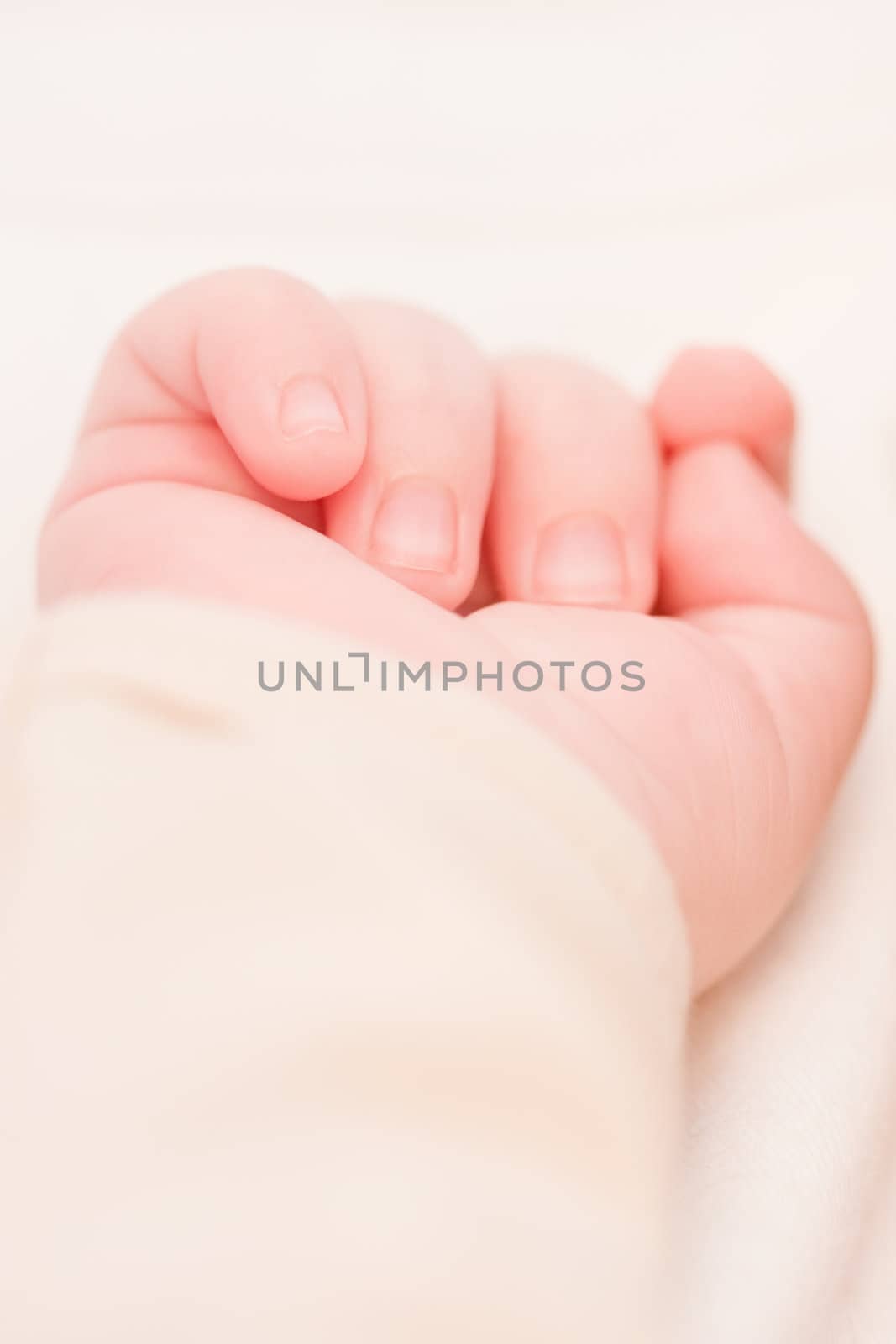 Little baby hand by rozhenyuk
