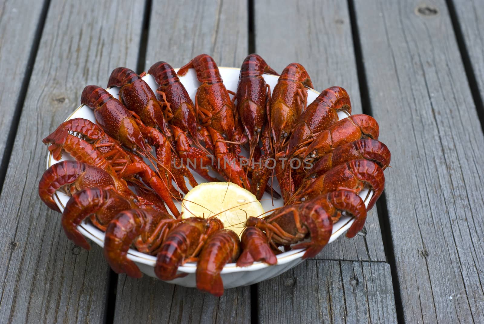 Crayfish in a white bowl