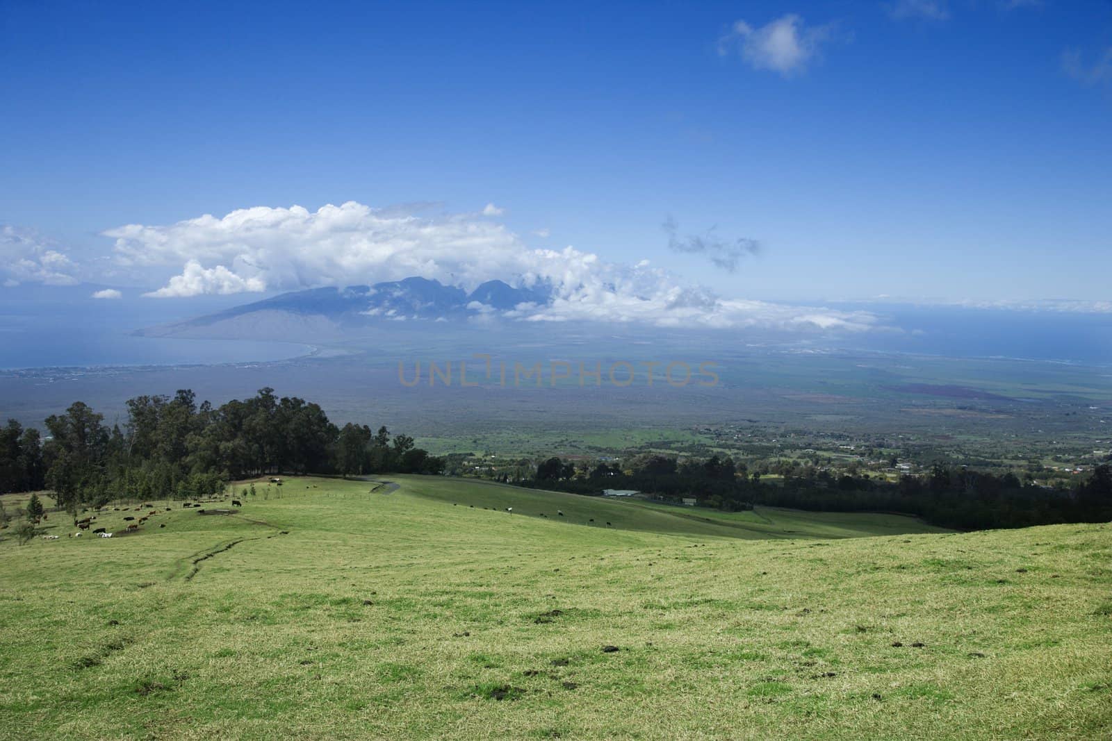 Landscape of Poli-Poli, Upcountry Maui, Hawaii, USA.