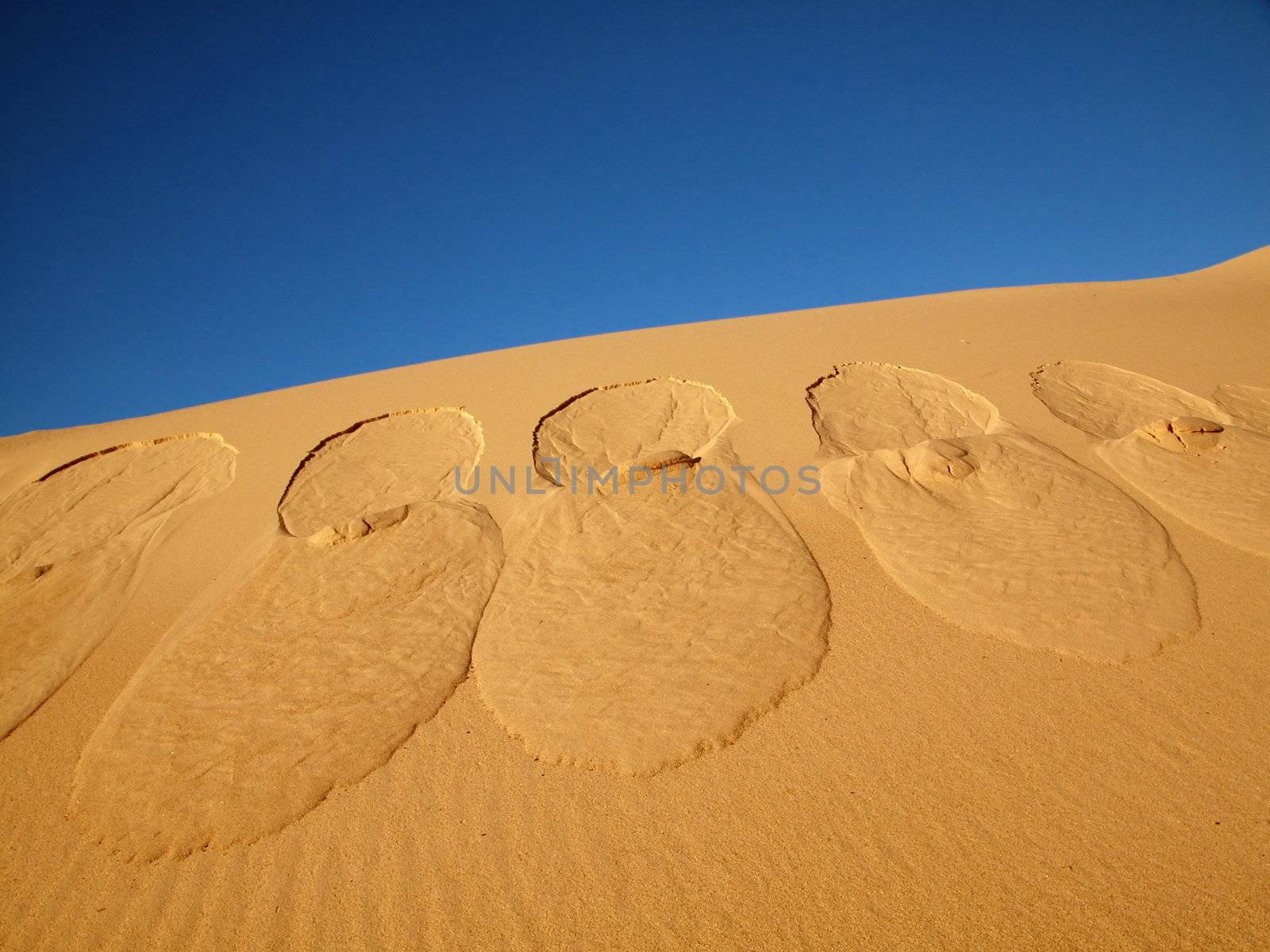 Footprints going over the sand.